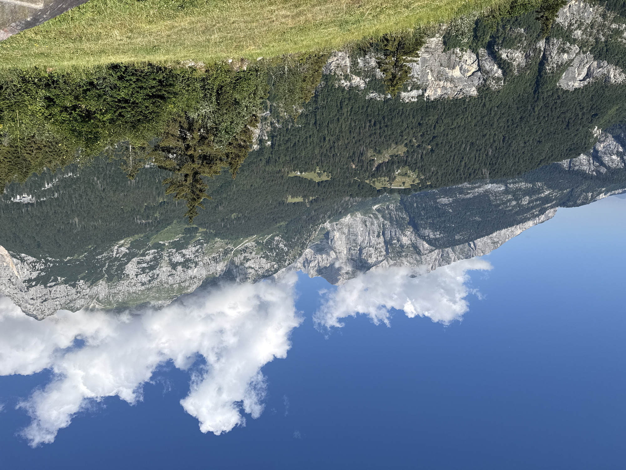 The image shows a panoramic view of a mountainous landscape under a clear blue sky with scattered white clouds. The foreground consists of a grassy slope, with patches of dry grass and some green shrubs and trees. In the mid-ground, a dense forest of dark green pine trees covers the mountainside. The background features towering, rugged mountains with rocky outcrops and lighter grey peaks, some of which are partially obscured by clouds. The overall scene is one of natural beauty and serenity, typical of the Dolomite region of Italy. While Molveno, Italy is mentioned as a location, the image itself does not contain any specific landmarks or features that would definitively place it within the city itself, but rather suggests a general mountainous area surrounding it. There are no people or human activity visible in the image.