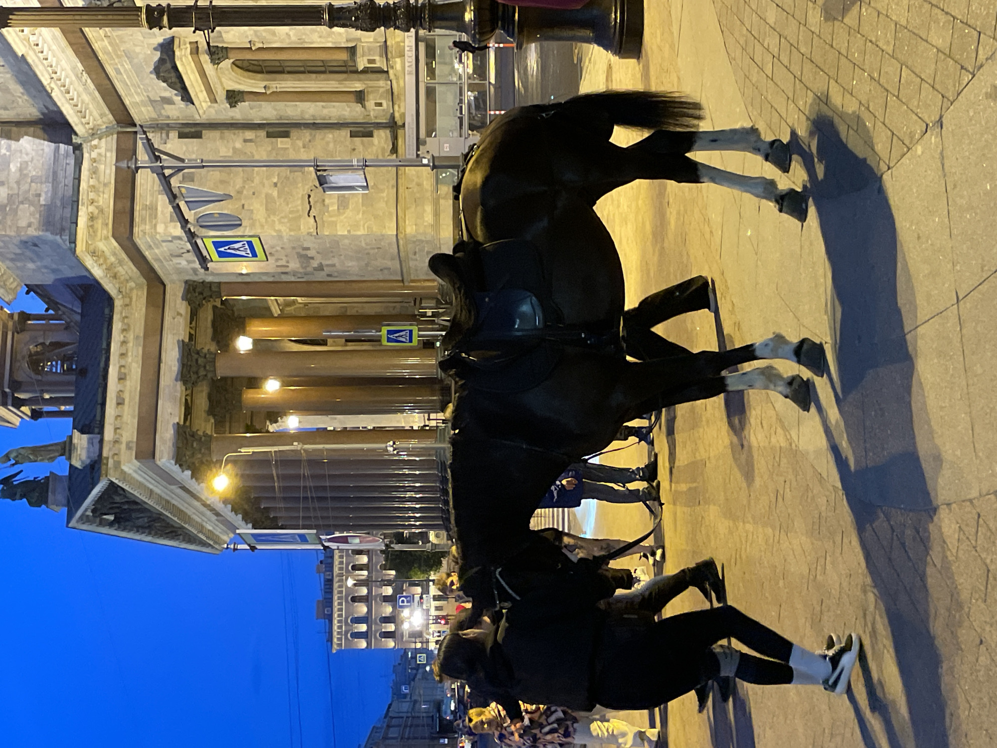 In a nighttime urban scene, a dark horse stands tethered on a cobbled sidewalk in front of a grand building with classical architecture, featuring large columns and ornate detailing. A woman in a black jacket and leggings, wearing white socks and athletic shoes, stands near the horse's head, appearing to hold its reins. Several other people are visible in the background, some walking and others gathered. The streetlights cast long shadows, indicating it's dusk or night. The environment suggests a public space in a city, possibly a tourist area, given the presence of the horse and its audience.