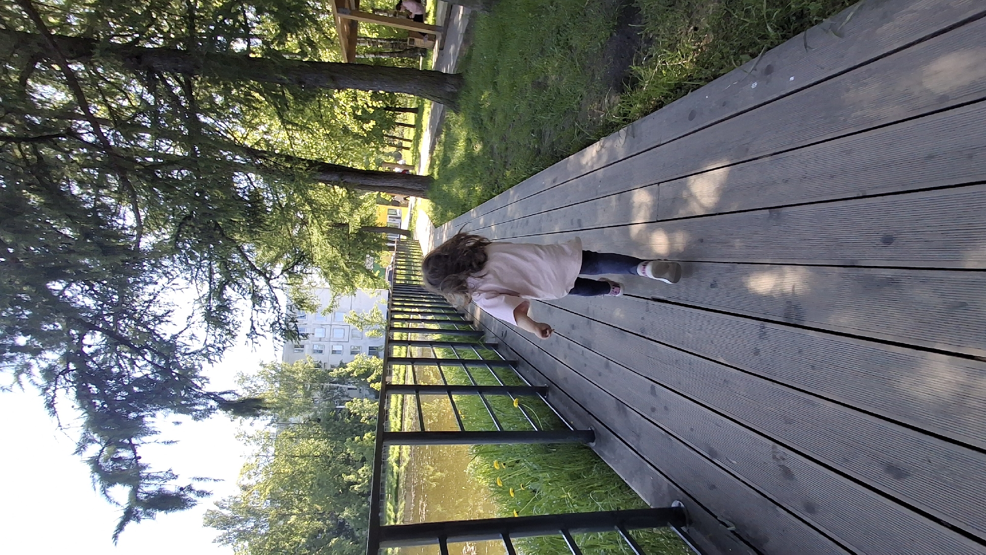 The image displays an outdoor scene, likely a park or recreational area, captured from a slightly elevated perspective. A young child, seen from behind, is walking or running on a wooden boardwalk that stretches horizontally across the middle of the frame when viewed correctly. The child wears a light pink long-sleeved top, dark trousers, and light-colored shoes.
To the left of the boardwalk, a black metal railing separates it from a body of water, possibly a river or canal, which reflects the sky and lush green vegetation. Across the water, several buildings with numerous windows are visible in the distance. To the right of the boardwalk, a grassy area is present, lined with tall, green trees. The ground also has patches of dandelions. Further in the background, under a wooden structure, indistinct figures can be seen.
The scene is brightly lit by natural sunlight, casting distinct shadows of trees and the child on the boardwalk, suggesting a clear, sunny day, likely during midday or early afternoon. The overall atmosphere appears peaceful and conducive to leisure. No discernible text is visible in the image. The setting is consistent with a park or promenade alongside a body of water in an urban environment, located in Saint Petersburg, Russia.