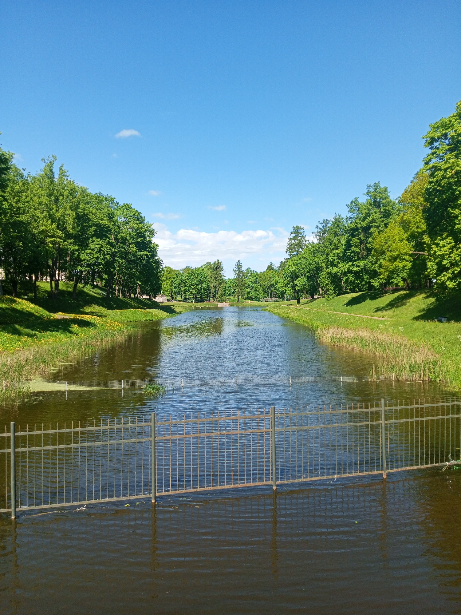 The photograph captures a tranquil view of a canal within the city of Gatchina, Russia. The canal is framed by lush green trees on both sides, with grassy banks leading down to the water's edge. The sky above is a clear blue with scattered small clouds. A metal fence runs along the foreground of the canal, its lower portion submerged in the water. The water surface is slightly rippled, reflecting the surrounding environment. There is no visible presence of people or animals.