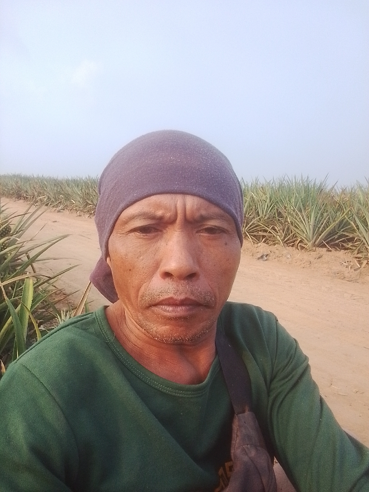 This is a selfie taken by a man in Rantau Jaya Udik, Indonesia, in a pineapple plantation. The man is wearing a dark purple bandana and a green long-sleeved shirt. He has a brown bag slung across his chest. The background shows rows of pineapple plants and a dirt path. The sky is light blue and hazy.