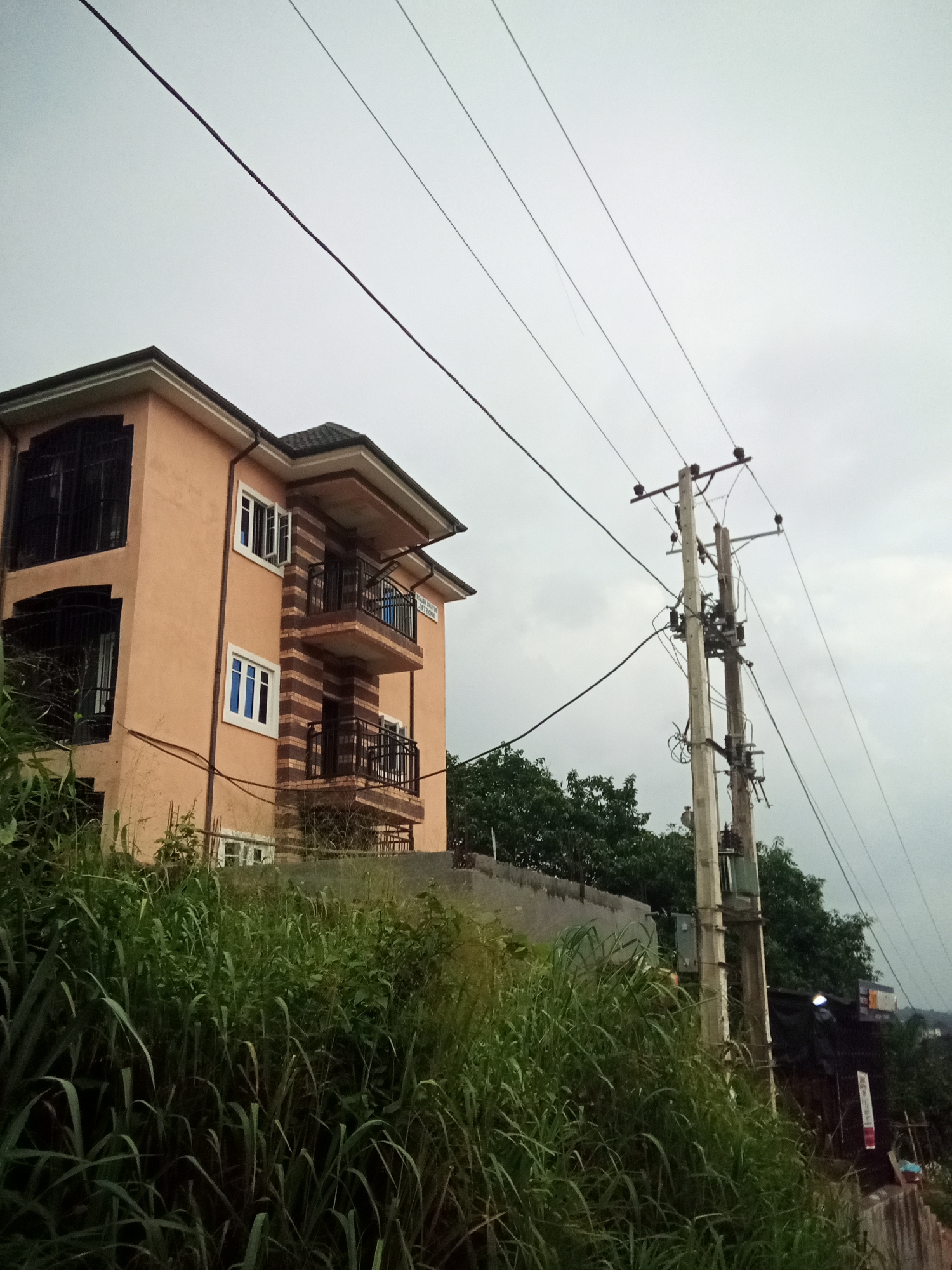 The image depicts a street scene in Oko Town, Nigeria, under an overcast sky. In the foreground, a dense growth of tall, green grass covers a sloping embankment, obscuring much of the ground. To the left, a multi-story building with an orange-peach facade is visible. The building features dark metal window bars, several windows with white frames, and two balconies with black railings. The roof is dark and sloped. To the right of the building, a wooden utility pole stands tall, supporting multiple electrical wires that stretch across the frame. The pole has various electrical components attached, including transformers and insulators. Behind the building and the utility pole, dark green foliage from trees is visible. Further in the background, a few signs and structures are dimly discernible, hinting at the urban environment of Oko Town. The overall atmosphere is subdued due to the cloudy weather.