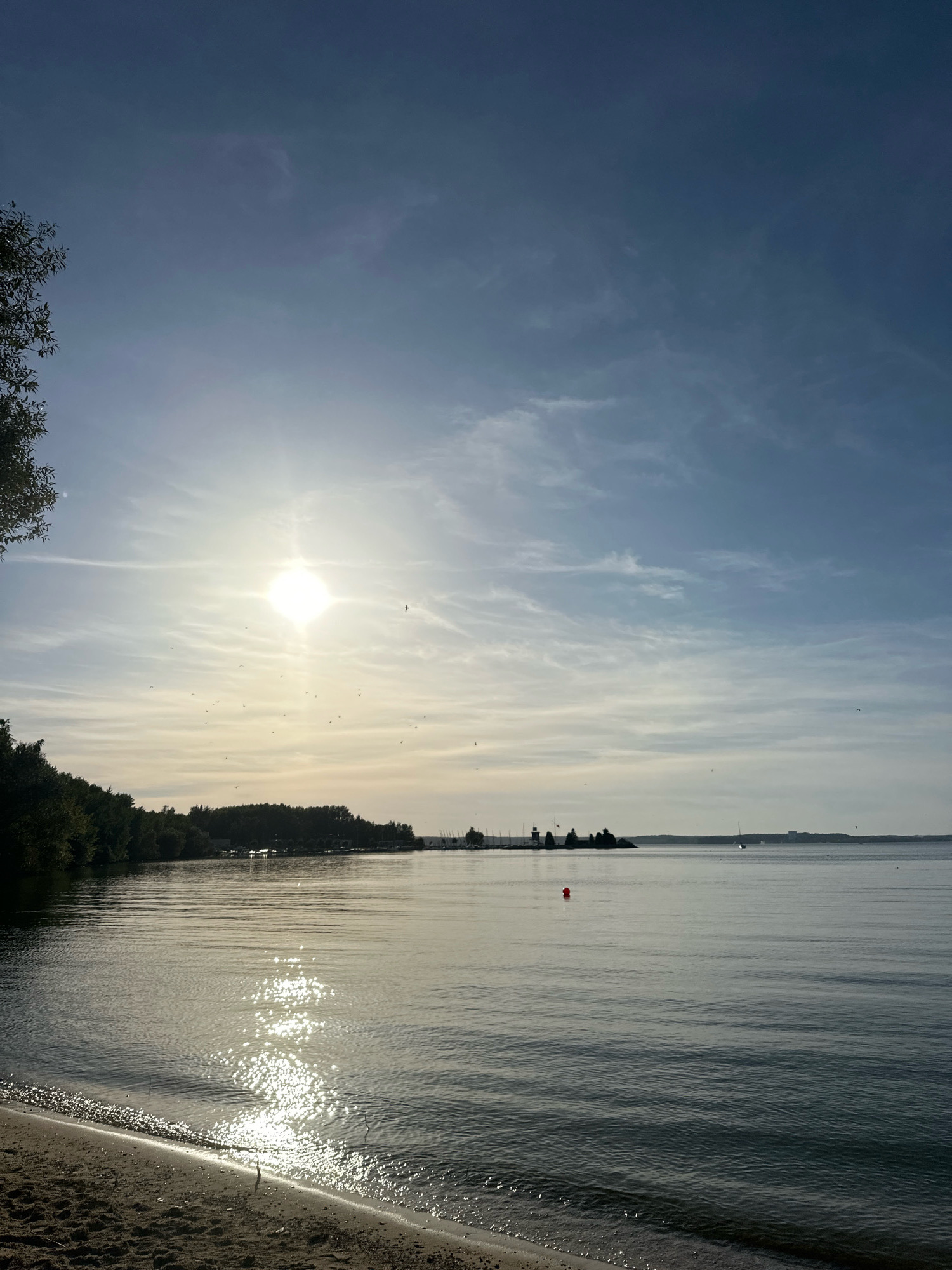 The image depicts a serene waterfront scene at the city of Ждановіцкі сельскі Савет, Belarus. The sun, a bright orb, shines intensely in the upper left quadrant of the frame, casting a glittering reflection on the calm water. A sandy shore forms the foreground, with gentle waves lapping at the edge. Across the water, a lush line of trees borders the distant land, punctuated by a small cluster of structures and a marina with several docked boats. A lone red buoy is visible floating on the water. The sky above is a soft blue, streaked with wispy clouds, and a scattering of birds can be seen in flight. The overall impression is one of tranquility and natural beauty.
