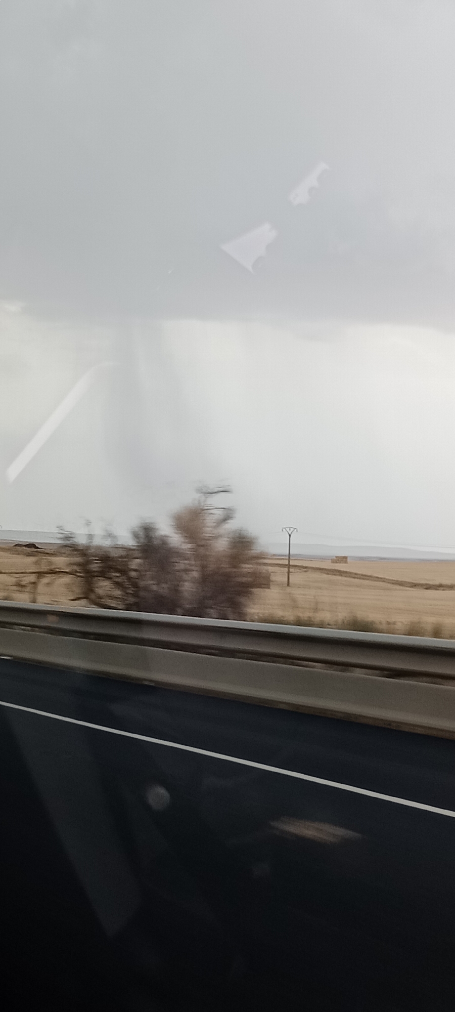 The image shows a view from inside a vehicle, looking out towards a rural landscape in Cerecinos de Campos, Spain. The foreground is dominated by a dark, reflective surface, likely the interior of the vehicle, with a white stripe running diagonally across it, indicating a road or highway lane marker. A silver metal guardrail separates the road from the landscape.
The landscape itself is a flat, dry field of a pale, golden-brown hue, suggesting harvested crops or dry grass. In the middle ground, there is a leafless, bushy tree with brown branches, appearing somewhat sparse. To the right of the tree, a slender utility pole with horizontal crossbars stands in the field. Further in the distance, there are what appear to be two large, rectangular hay bales or similar structures. The horizon line is indistinct, blending into a light gray, overcast sky.
The sky is filled with heavy, grey clouds, and there appears to be a visible rain shaft or a distant weather phenomenon, creating a vertical streak of darker grey in the sky above the landscape. The overall lighting is dim and diffused, consistent with overcast or stormy weather. There are no people visible in the image. The scene conveys a sense of a journey through a potentially wet or stormy rural environment.