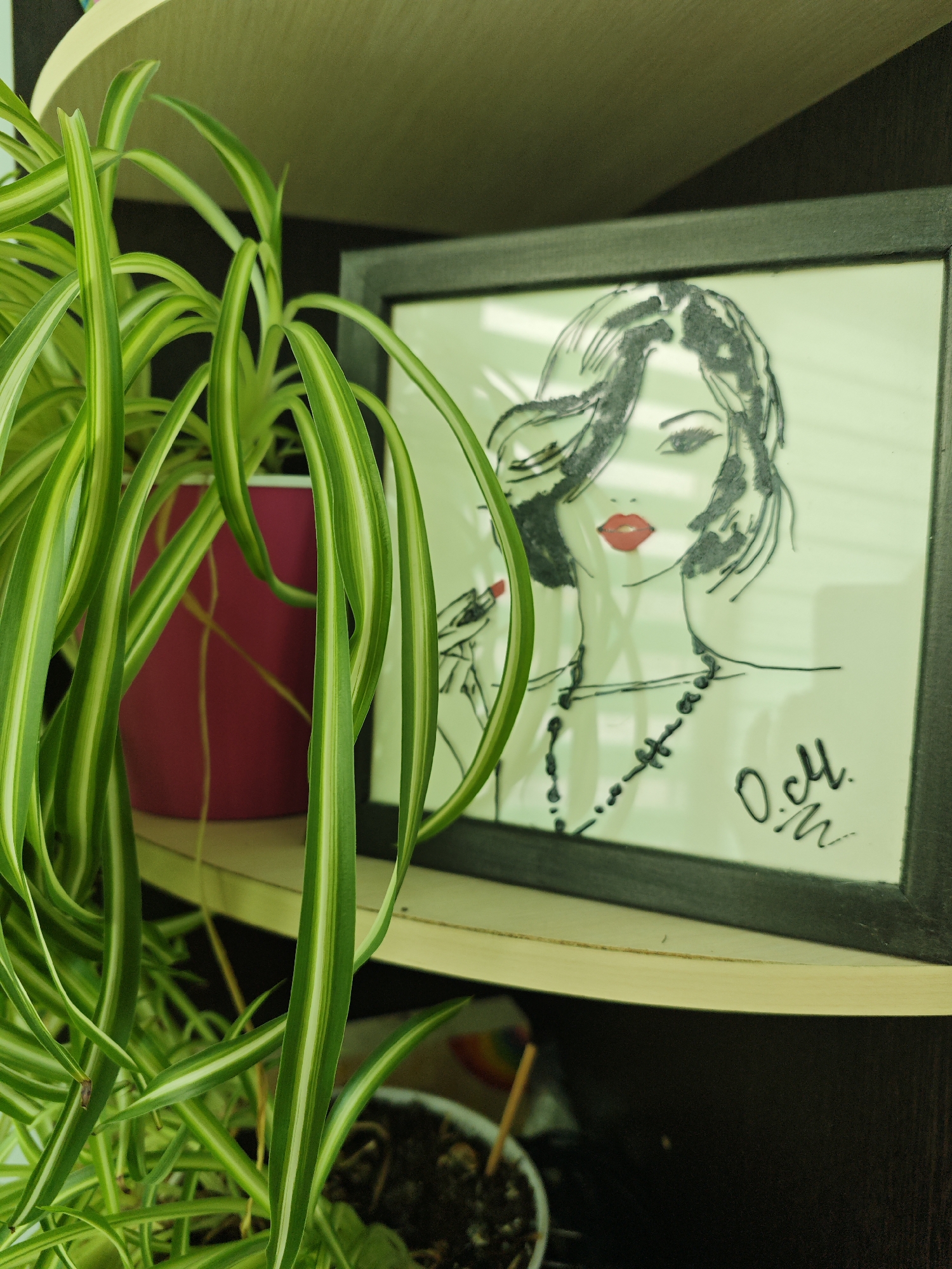 This image depicts an indoor scene in Markovskii, Russia. The primary subjects are a vibrant spider plant and a framed drawing, both situated on light-colored shelving.
The spider plant (Chlorophytum comosum) dominates the left side, characterized by long, arching, variegated green and white leaves. It is contained within a cylindrical, dark pink planter, visible through the plant's foliage.
To the right of the plant, a dark-framed picture is displayed. Inside the frame is a stylized drawing of a woman, rendered primarily in black and white. The woman has dark, wavy hair, defined eyebrows, and prominent red lips. Her right hand is depicted holding a red lipstick applicator. A dark, beaded necklace adorns her neck. In the lower right corner of the drawing, a signature "О.М." is present in black script.
The items are arranged on shelves with a curved upper edge, against a dark background. A portion of another small potted plant with dark soil is visible in the lower right corner of the image, below the framed picture.