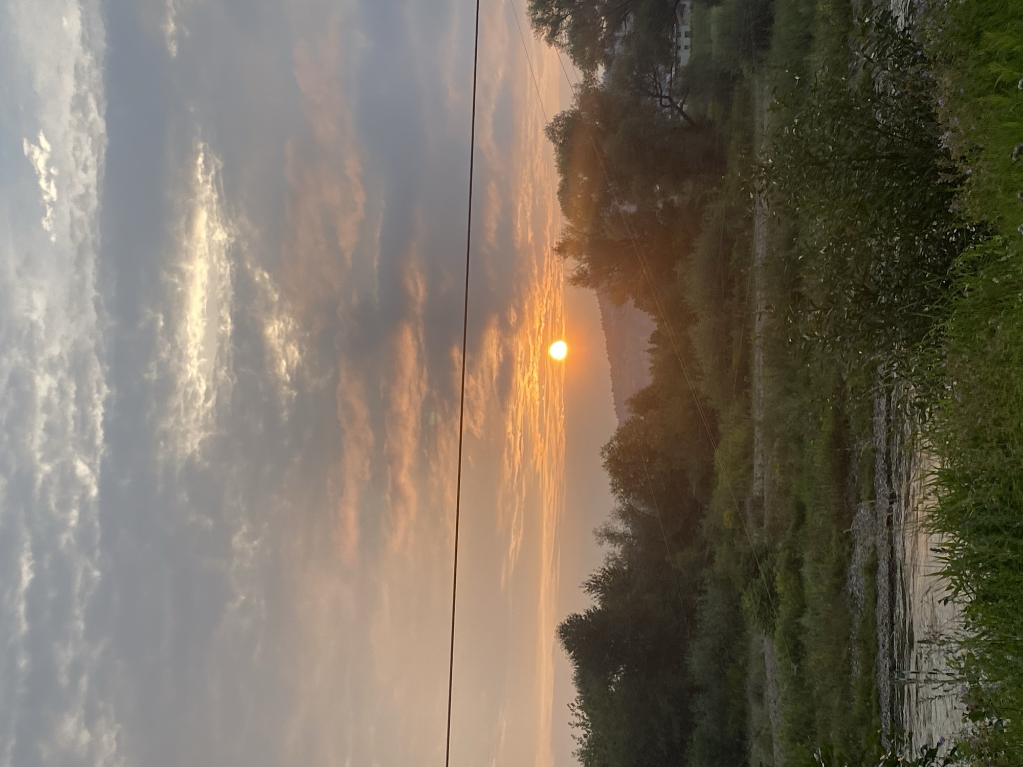 The image depicts a rural landscape at sunset, with the sun partially obscured by clouds. A thin, dark horizontal line, likely a wire, bisects the upper half of the frame. The sky is filled with a mix of gray and orange clouds, illuminated by the setting sun. Below the sky, a line of dark green trees forms a silhouette against the horizon. In the foreground, a body of water, possibly a river or stream, reflects the warm tones of the sunset. The banks of the water are covered with lush green vegetation, including tall grasses and some wildflowers. There are no people or specific landmarks visible that would definitively place this scene in Nowy Sącz, Poland. The image captures a serene natural setting at dusk.