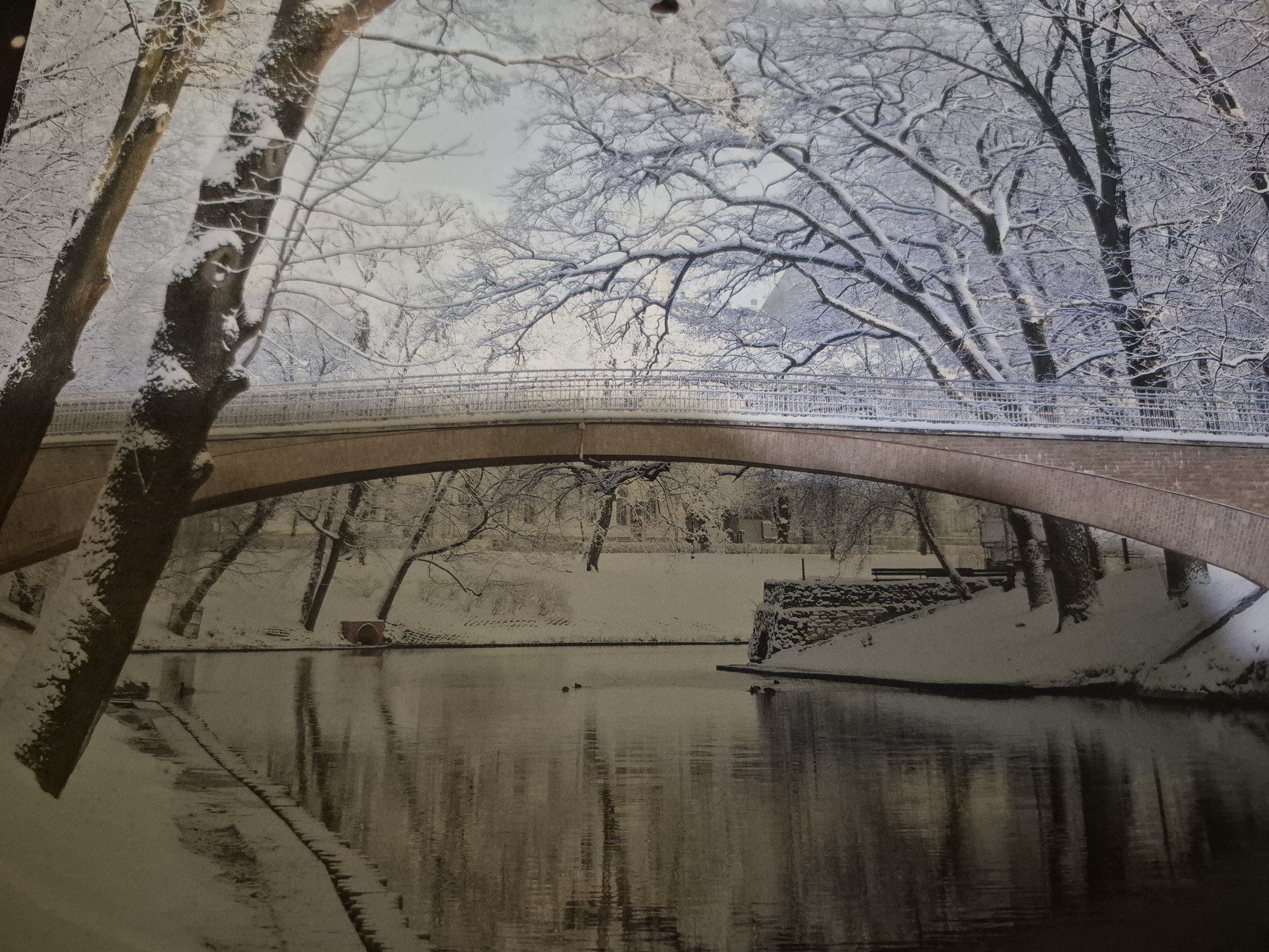 This is a wide, eye-level, outdoor, photographic scene of a park covered in snow during the daytime. A bridge arches over a body of water, which reflects the snow-covered trees and the bridge itself. On the far bank of the water, there is a stone wall and a patch of snow-covered ground with a bench. Several ducks are swimming in the water. The trees are bare, with snow clinging to their branches. The sky is overcast.