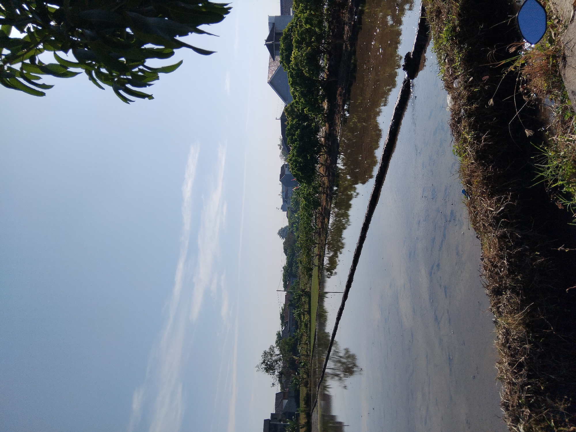 The image depicts a serene landscape in the city of Papahan, Indonesia, under a clear, pale blue sky. In the foreground, a flooded field, possibly a rice paddy, reflects the surrounding environment. A raised, dark brown embankment runs across the middle of the water, separating two sections. The background reveals a line of trees with lush green foliage, casting subtle reflections on the water. Beyond the trees, several houses with tiled roofs are visible, suggesting a semi-rural or suburban setting. A large, dark green tree with elongated leaves partially obscures the top right corner of the sky. The overall impression is one of calm and natural beauty.
