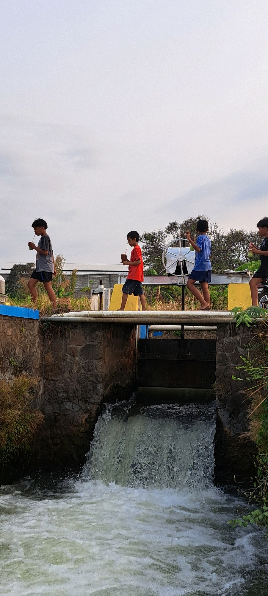 Four young boys are walking across a bridge over a water channel in Sumber Gedang, Indonesia. The boy on the far left is wearing a dark t-shirt and shorts and is drinking from a cup with a straw. The second boy from the left is wearing a red t-shirt and dark shorts, also drinking from a cup with a straw. The third boy from the left is wearing a blue t-shirt and dark shorts. The boy on the far right is wearing a black t-shirt and shorts and holding a drink. The bridge is made of concrete and metal pipes. Below the bridge, water is flowing through a sluice gate, creating a small waterfall. The surrounding environment includes overgrown grass and trees. The sky is overcast.