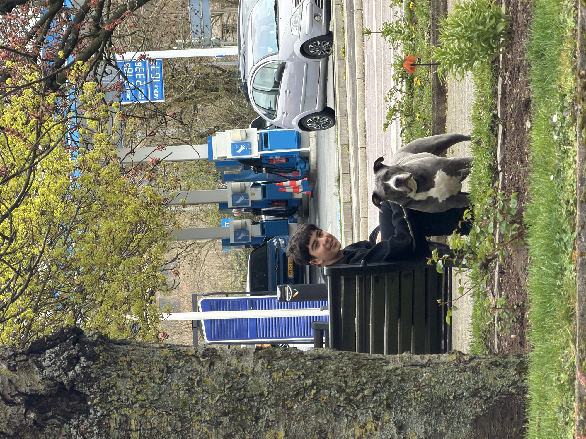 The image shows a gas station in Esch-sur-Alzette, Luxembourg. A young man is sitting on a black metal park bench with a gray and white dog resting on the bench near him. The gas station has several blue and white pumps and a sign displaying fuel prices. A silver car is parked near one of the pumps. A large tree trunk is visible in the foreground. Green grass and vegetation border the edge of the walkway.