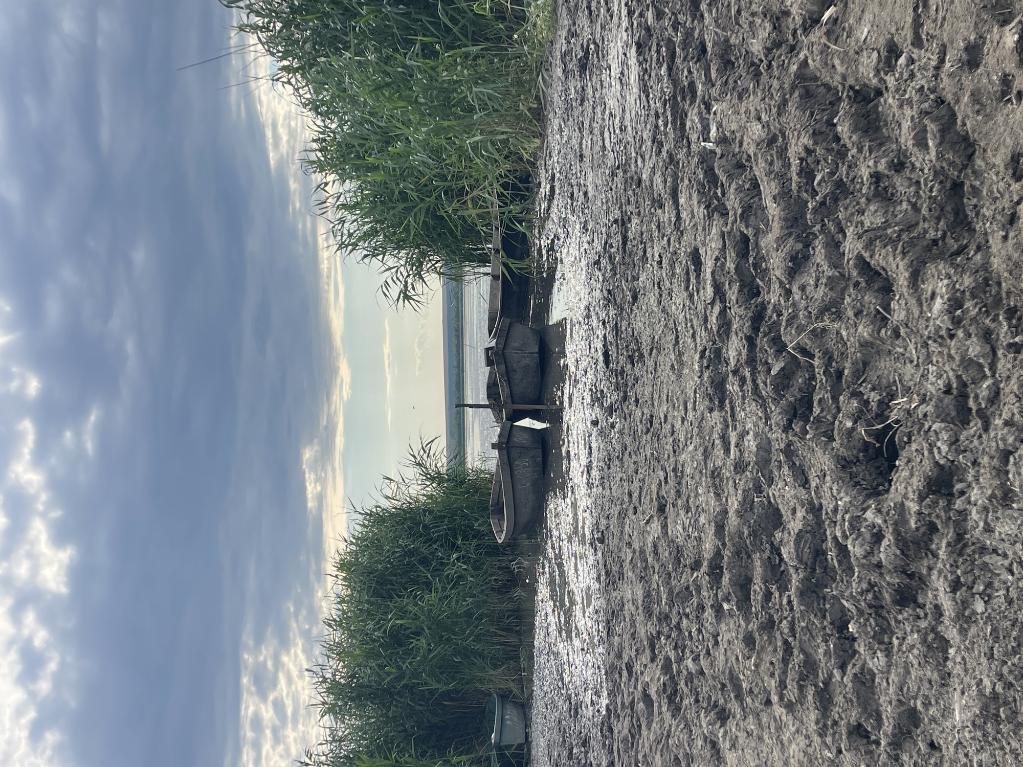The image depicts a muddy shoreline of a body of water, possibly the Dniester River near Manta, Moldova. Three small, dark-colored boats are partially submerged in the shallow water, resting near a dense growth of tall green reeds. The foreground is dominated by dark, wet, and textured mud, with visible footprints and indentations. The sky above is overcast with dramatic clouds, with glimpses of lighter sky and distant hazy landmasses on the horizon. The overall scene suggests a natural, undeveloped waterfront environment.