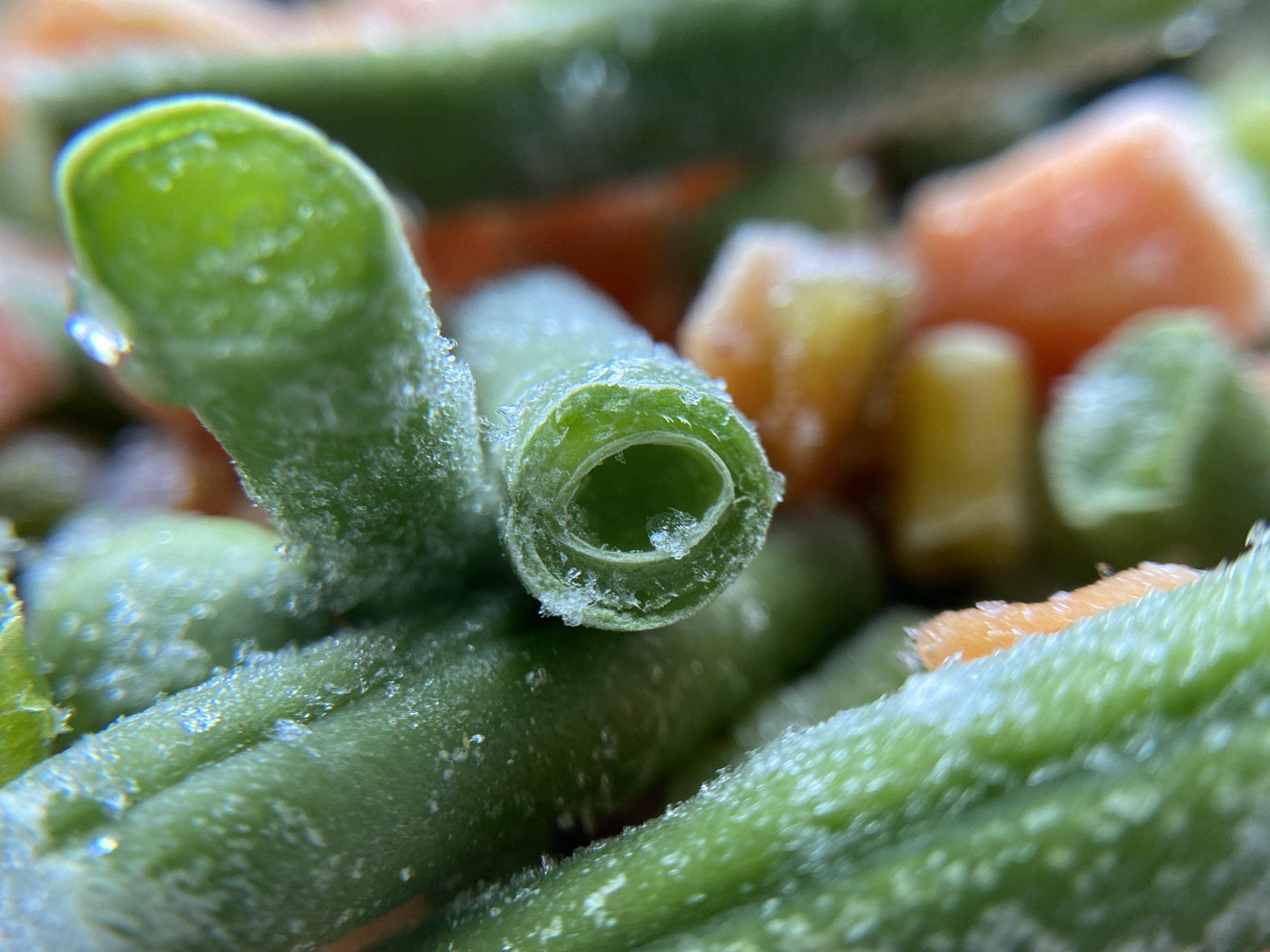 A close-up, macro photograph shows a pile of frozen vegetables. The focus is on a cut green bean in the foreground, revealing its hollow, circular interior and frosty texture. The background is a blurred assortment of other frozen vegetables, including orange pieces of carrot and yellow pieces of corn. The lighting is bright, highlighting the icy crystals on the vegetables.
