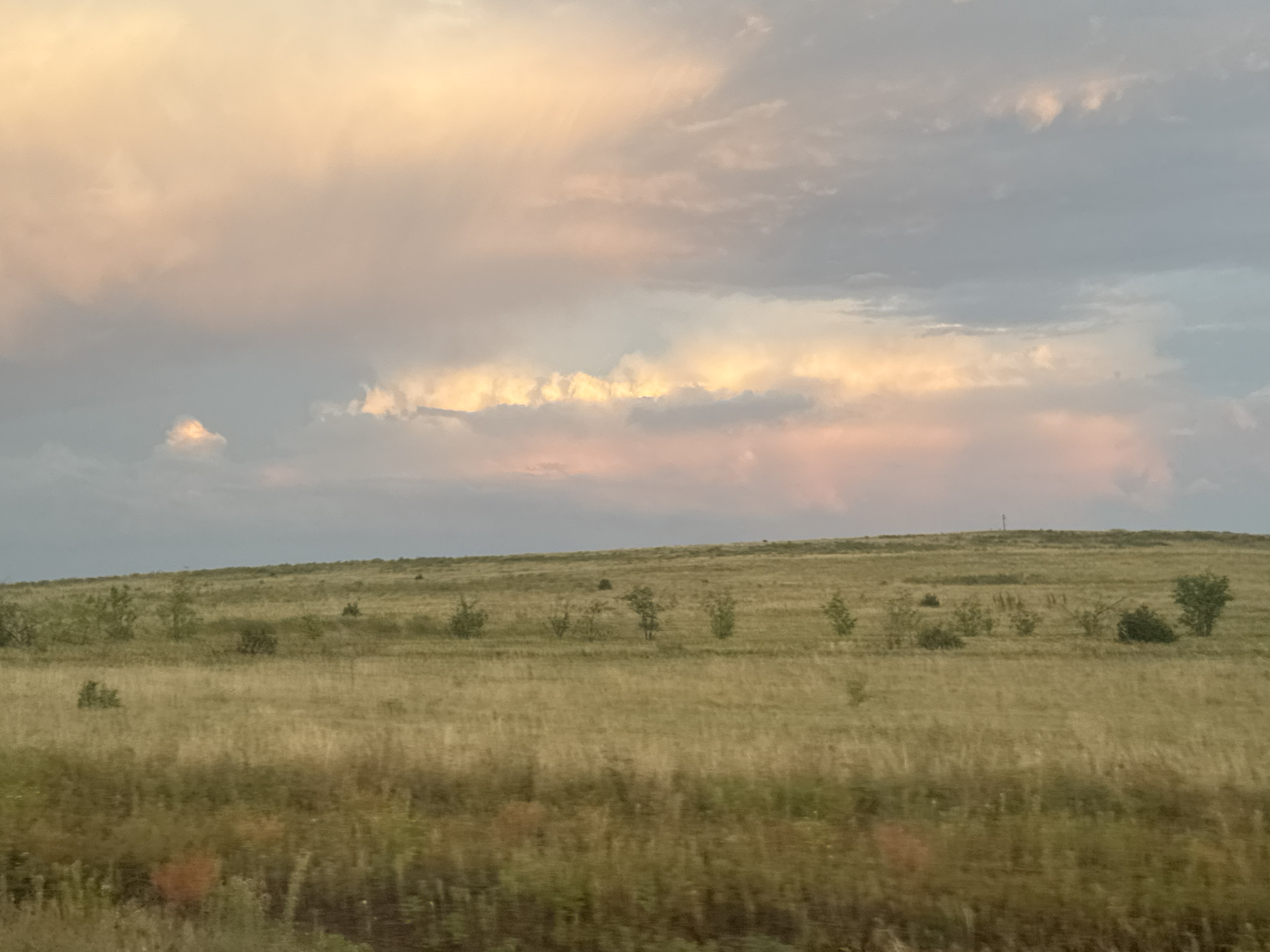 A natural landscape photograph depicts a vast, open field of dry, golden grass under a sky filled with soft, pastel-colored clouds. The clouds are tinged with hues of pink and orange, suggesting either sunrise or sunset. Scattered across the undulating terrain are a few small, sparse trees and bushes. The horizon line is low, emphasizing the expanse of the sky. The overall impression is one of natural beauty and tranquility. The image does not contain any identifiable landmarks or structures that would place it specifically within the city of Syrt, Russia.