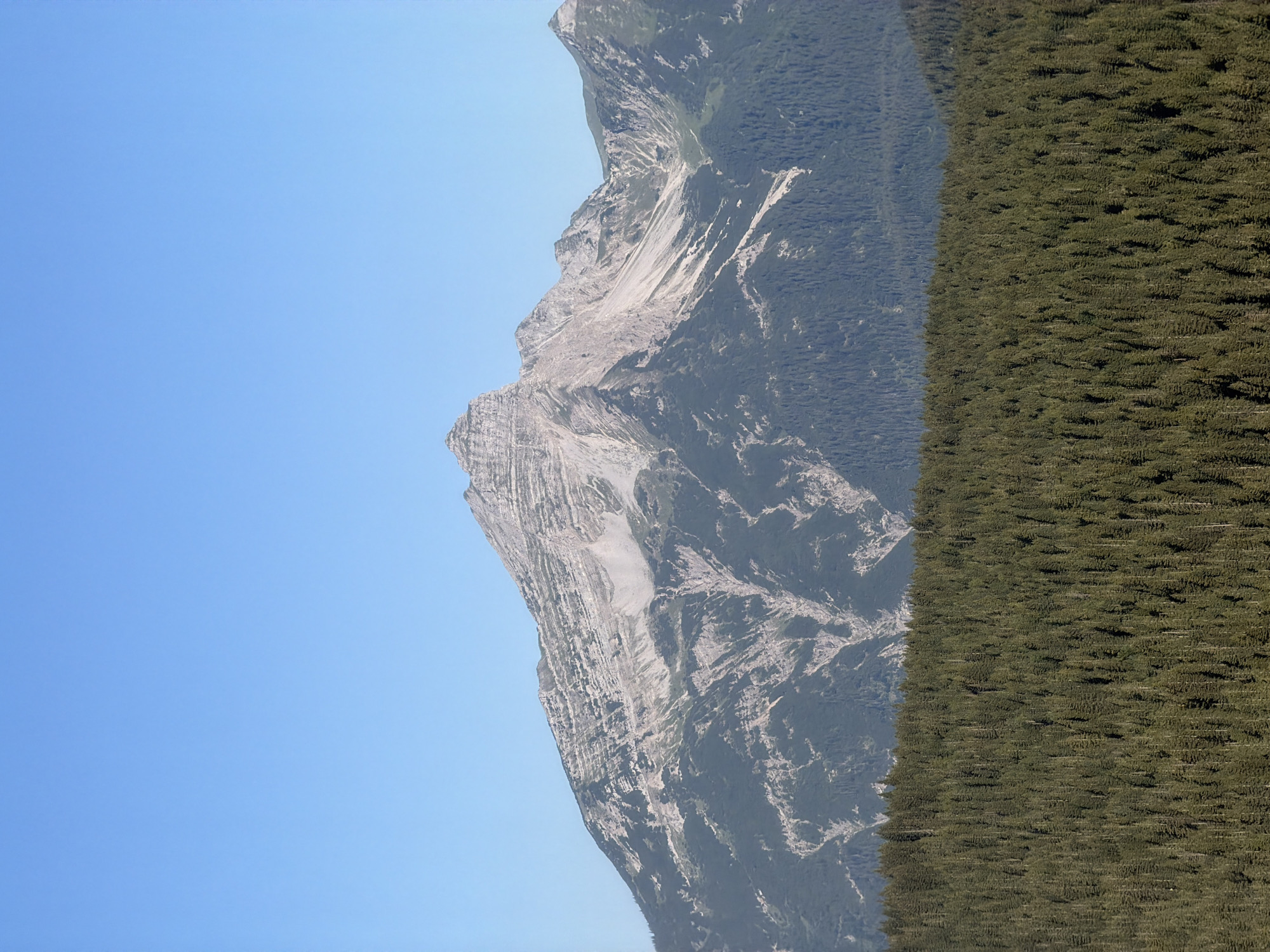 The image depicts a mountainous landscape with a clear blue sky. In the foreground, a dense forest of evergreen trees covers the lower portion of the scene. Behind the forest, majestic mountains rise, characterized by their rugged, rocky terrain and steep slopes. The mountains are primarily composed of grey rock, with some areas showing lighter rock formations and patches of vegetation. The overall environment suggests a natural, alpine setting. The image does not contain any people, structures, or man-made objects that would indicate a specific location within the city of Grainau, Germany.