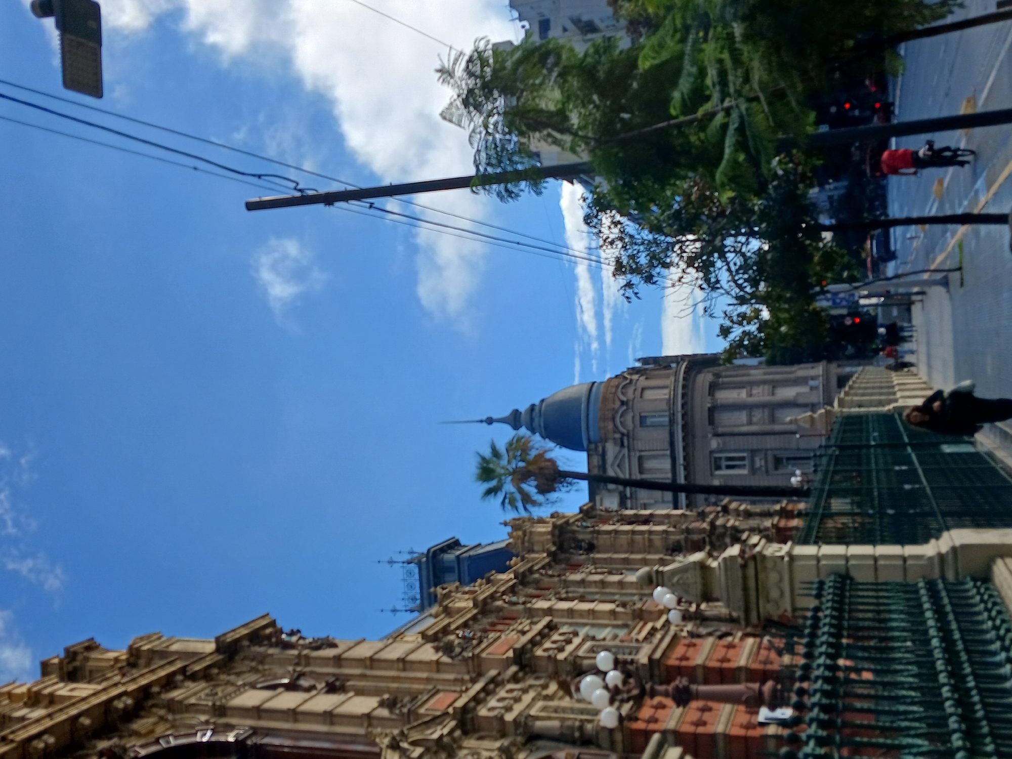 The image, rotated 90 degrees counter-clockwise from its intended orientation, depicts a daytime street scene in Buenos Aires, Argentina, featuring historical architecture, urban infrastructure, and natural elements under a bright sky.
In the foreground, a highly ornate building with classical architectural details dominates the lower left. It showcases intricate stone carvings, columns, balconies, and multiple windows, primarily in shades of beige, light brown, and white. Several streetlights with white spherical globes are affixed to its façade. To the right, a dark green metal fence or railing runs diagonally, behind which a person wearing a dark top is partially visible, seemingly walking along the street.
The mid-ground reveals a grand structure with a distinctive dark blue dome topped by a slender spire, reminiscent of a municipal building or cathedral. A tall palm tree stands beside it, and more multi-story buildings line what appears to be a wide avenue or plaza. Further down the street, lush green trees are abundant, and a paved road with yellow markings is visible on the right. A person in a red top can be seen riding a bicycle, and red traffic lights indicate active intersections. Other indistinct figures are also present in the distance.
The upper part of the image is filled with a vibrant blue sky dotted with scattered white clouds. Numerous overhead power lines traverse the sky, along with utility poles and street light fixtures. A rectangular street sign is visible in the upper left corner, but its text is illegible due to the angle and resolution.
The scene captures a clear, sunny day, suggesting midday or early afternoon. The architecture strongly reflects European influences common in Buenos Aires. There is no visible text that can be read.