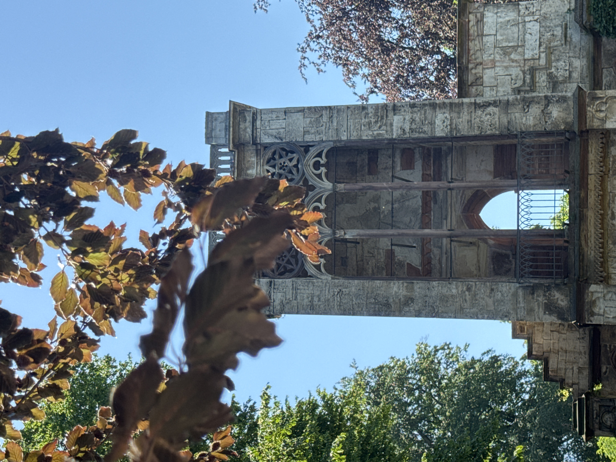 An outdoor, eye-level, vertical shot captures the facade of a Gothic ruin in Weimar, Germany, bathed in bright sunlight. In the foreground, the blurred, reddish-brown leaves of a tree hang over the scene, obscuring parts of the sky and the architecture. The ruin itself is constructed of weathered stone blocks, showcasing a central tower-like structure with arched openings and decorative stonework, including a star-shaped rosette. Metal railings adorn a balcony-like area, and remnants of brickwork are visible within the openings. To the left, a lush green tree stands tall, contrasting with the reddish-brown foliage in the foreground and another tree with dark red leaves on the right. The clear blue sky serves as the backdrop for the entire composition.