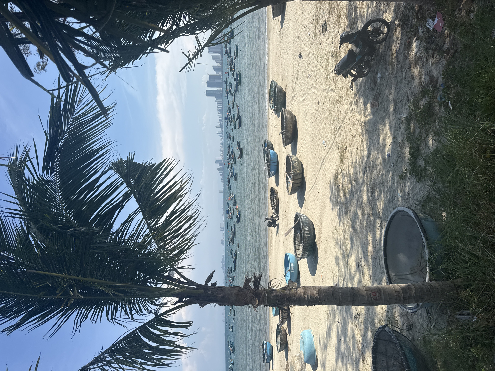 Here is a concise description of the image:
The image depicts a coastal scene, with a sandy beach populated by several overturned basket boats. In the distance, a city skyline is visible across the water. A motorcycle is parked on the sand near vegetation. The scene is framed by palm trees, suggesting a tropical location. The image has been rotated 90 degrees counterclockwise.