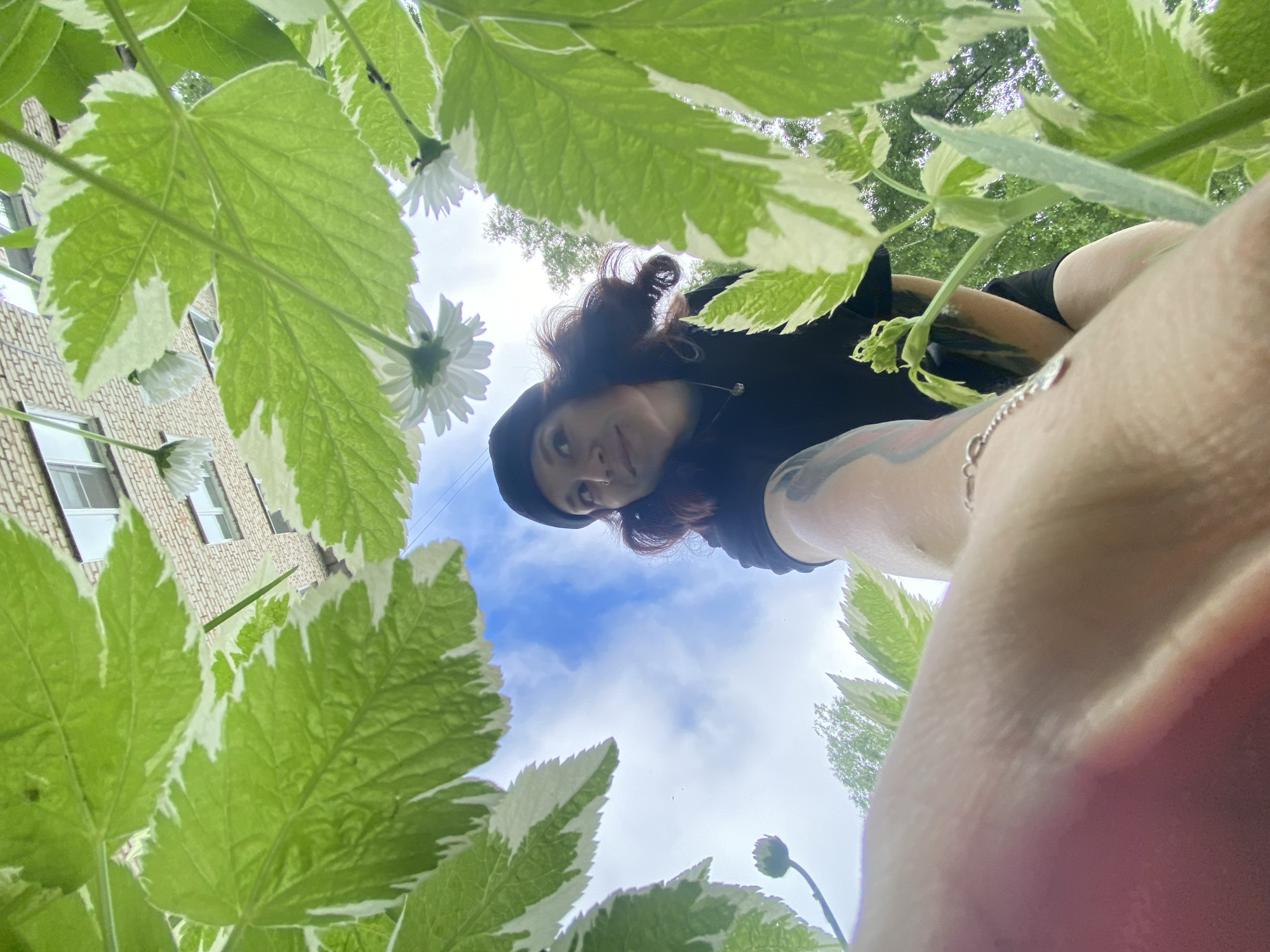 A low-angle shot shows a young woman wearing a black beanie and black t-shirt. She is looking up towards the sky, with her face partially obscured by large green and white variegated leaves in the foreground. Her right arm is extended towards the camera, with a tattoo visible on her arm and a silver bracelet on her wrist. In the background, a brick building with windows is visible against a blue sky with scattered clouds. Several white flowers with delicate petals are also seen, some hanging upside down, suggesting the photo was taken from beneath a plant. The scene appears to be outdoors, possibly in a park or garden in the city of Chaikovsky, Russia, given the architectural style of the building.