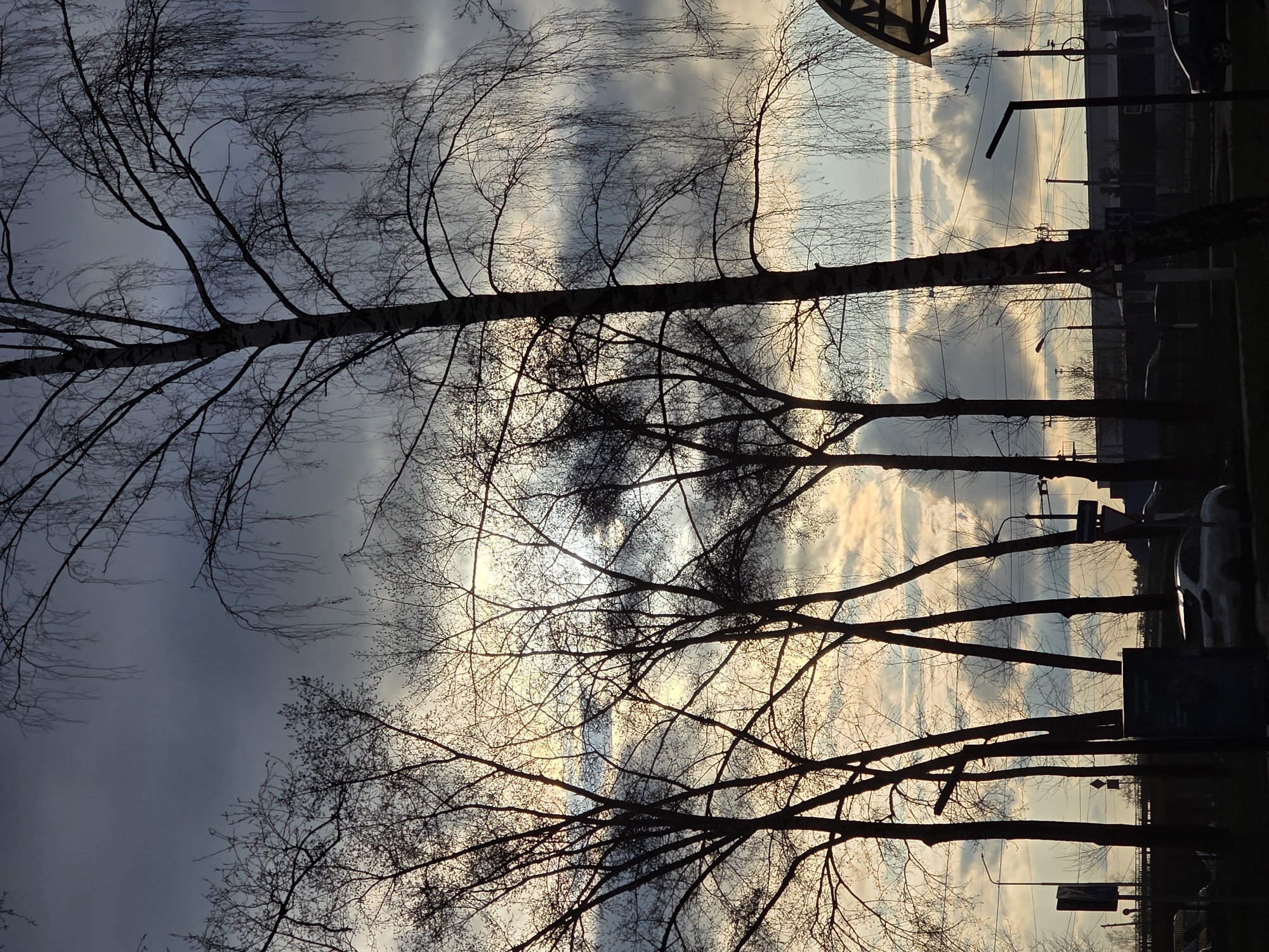 The image captures a dramatic outdoor scene, likely at either sunrise or sunset, in Chaikovsky, Russia. The primary subjects are several tall, bare-branched trees, strongly silhouetted against a vibrant sky. Their intricate networks of leafless branches dominate the left and center of the frame.
The sky is a notable feature, displaying a mix of light blue, white, and warm golden, orange, and pink hues where the sun's light penetrates the clouds. Patches of darker grey-blue clouds are also present, creating contrast. Several distinct, linear streaks, possibly contrails from aircraft, stretch across the sky. The strong backlighting from the unseen sun creates pronounced silhouettes of all foreground and middle-ground elements.
On the right side of the image, the dark silhouettes of urban infrastructure are visible, including what appear to be buildings, power poles with wires, streetlights, and a few indistinct vehicles or parked cars. This suggests an urban or semi-urban setting, possibly a street lined with trees or a park bordering a road.
No specific human or animal activity is depicted; the scene is a static landscape shot. There is a dark, rectangular object resembling a sign in the lower right, but no text is legible. The overall impression is one of peaceful, stark beauty, highlighted by the striking interplay of light and shadow.