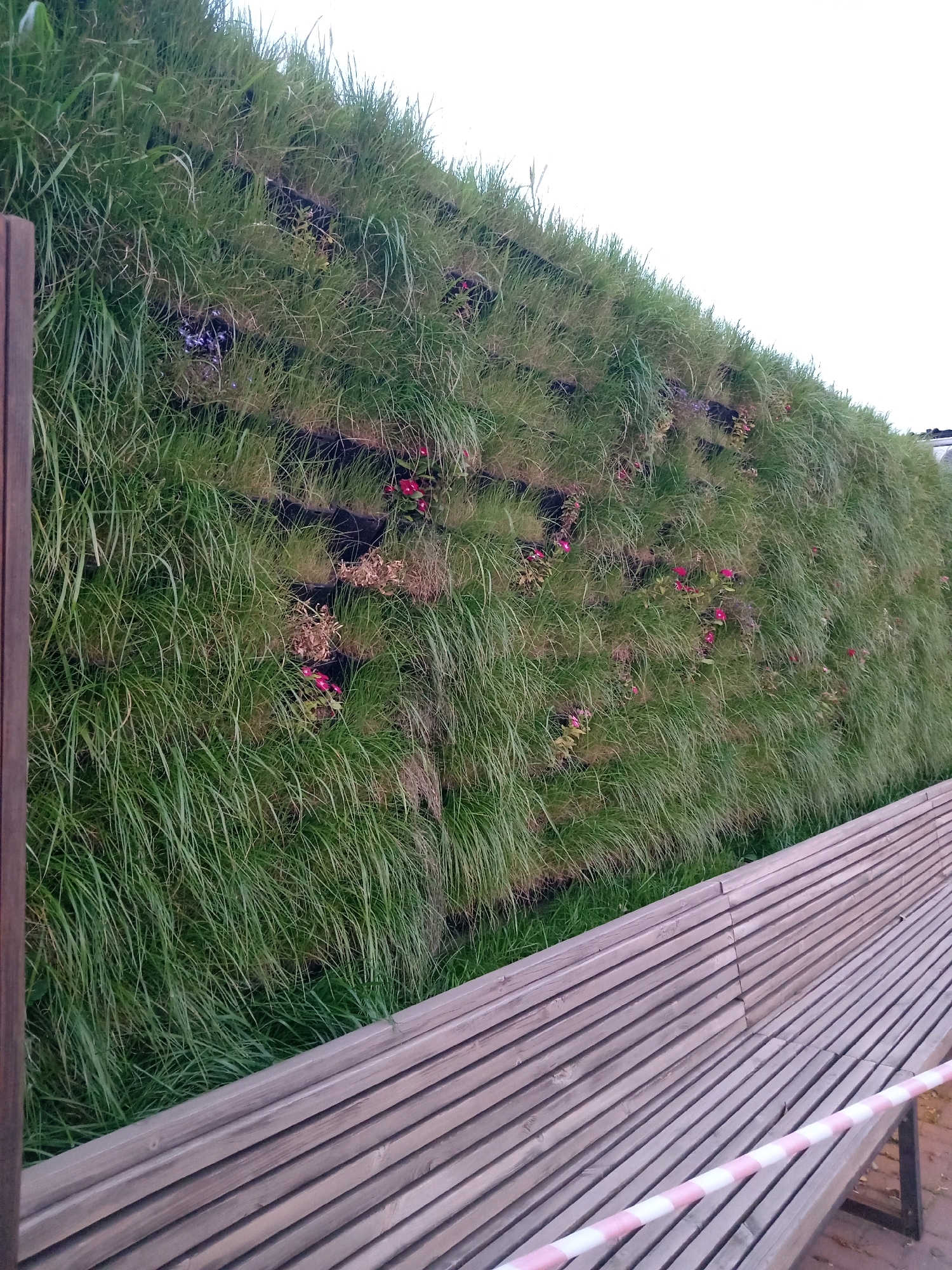 An outdoor scene shows a vertical garden wall covered in dense green grass and some small pink flowers. A slatted wooden bench runs along the bottom of the image, with a pink and white striped barrier tape across it. The scene appears to be in the city of Rudny, Kazakhstan. There are no people visible in the image.