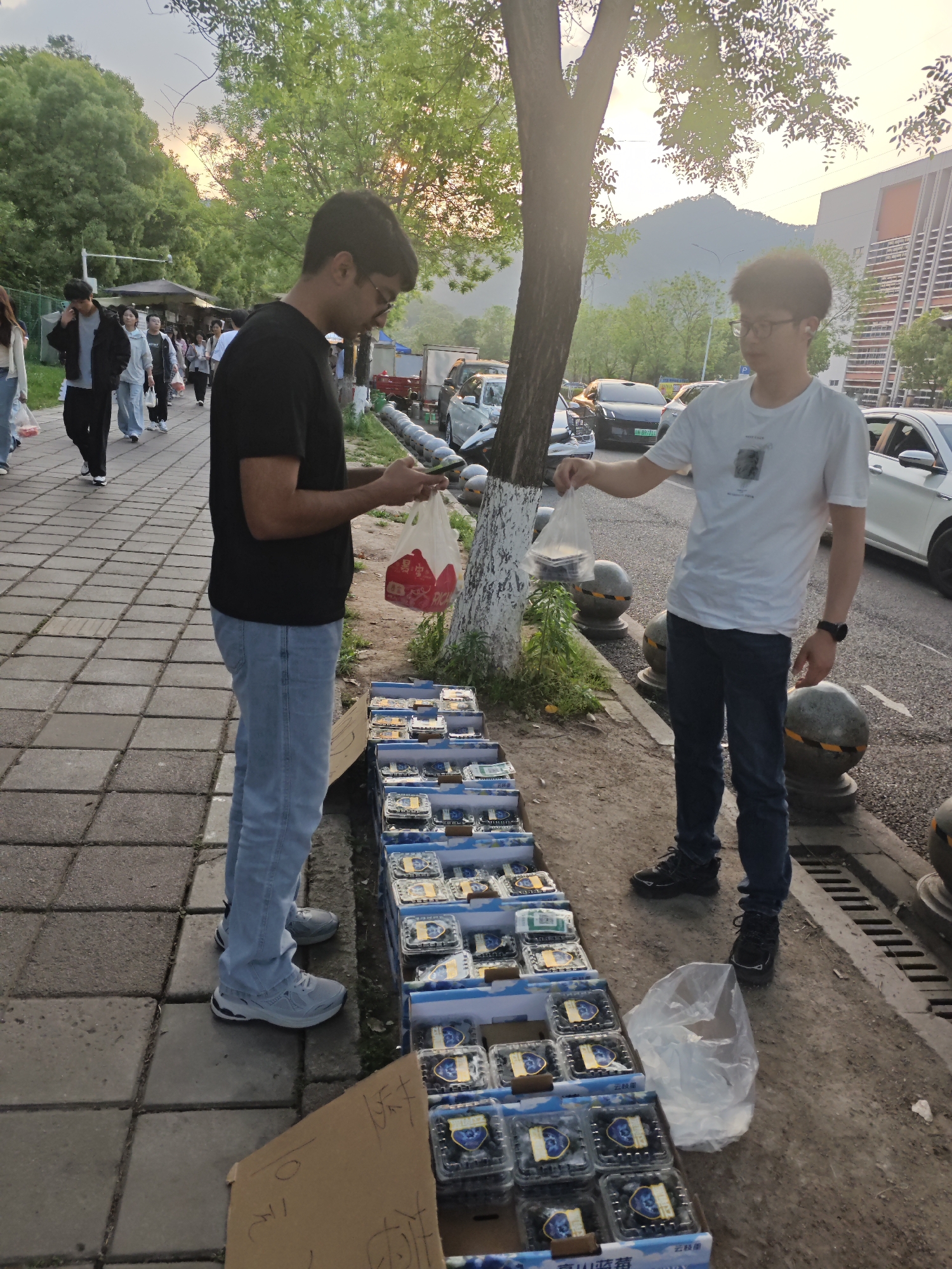 Two men stand on a sidewalk next to a row of boxes filled with blueberries in plastic containers. One man wears a black t-shirt and light-colored jeans, holding a cylindrical object and a shopping bag. The other man, wearing a white t-shirt and dark jeans, holds a plastic bag containing blueberries. A tree stands between them, its lower trunk painted white. In the background, a street with cars, a sidewalk with pedestrians, trees, and buildings are visible. The mountain in the distance implies that the location is in Shapingba District, China.