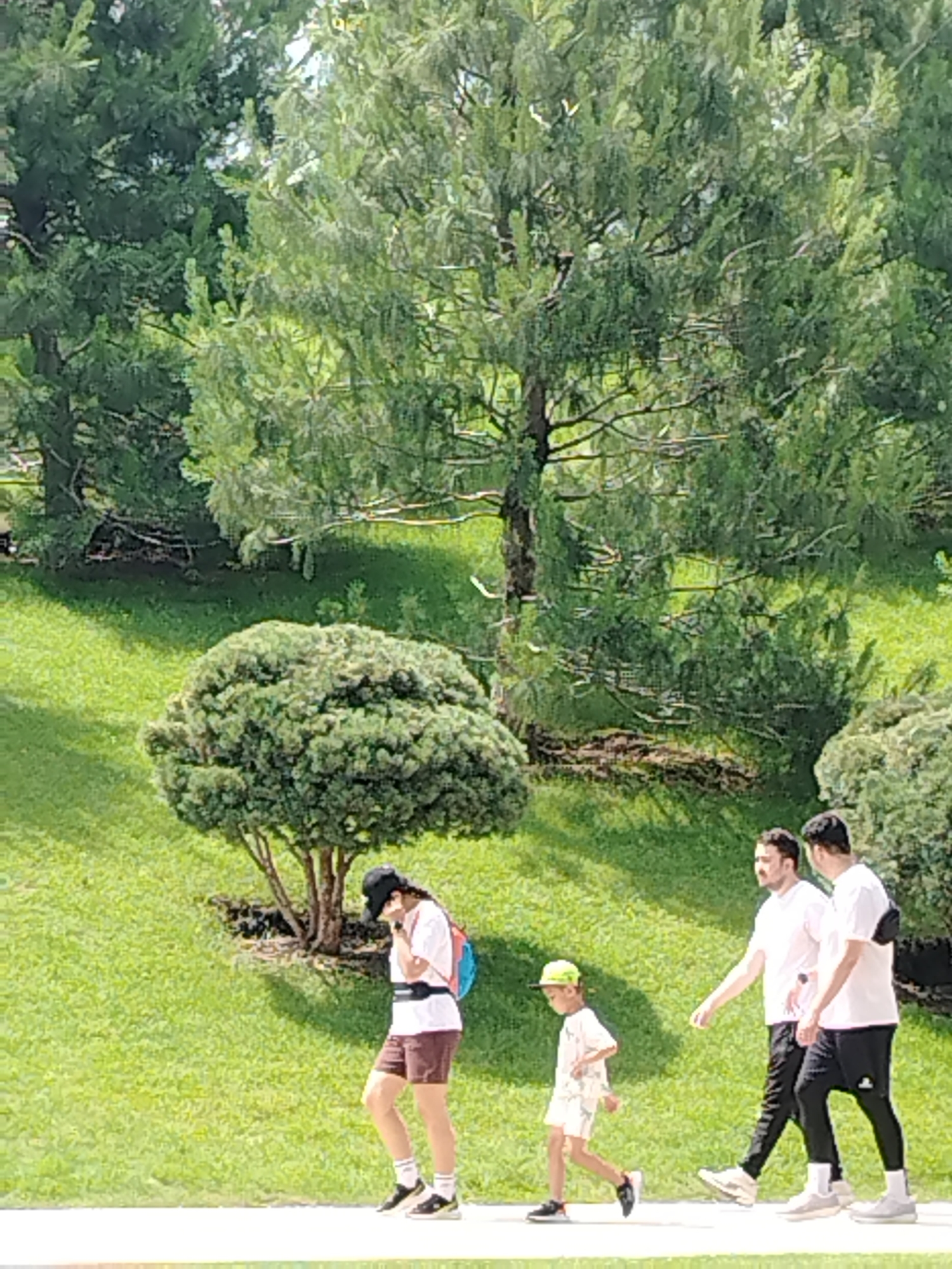 The image depicts a bright, sunny day with lush green grass and mature trees. In the foreground, a paved walkway runs horizontally across the bottom of the frame. On this walkway, three individuals are walking. On the left, a person wearing a black cap, white t-shirt, brown shorts, white socks, and black sneakers is walking. They have a blue and red backpack. To their right, a young child in a white t-shirt and shorts, and a green cap, walks. To the right of the child, two men in white t-shirts and dark pants are walking together. The man on the left has short brown hair, while the man on the right has dark hair. The background consists of a sloping grassy hill dotted with trees, including a distinctive rounded bush in the mid-ground. The lighting suggests the sun is high in the sky, casting shadows. The location is not identifiable as Krasnodar, Russia, as there are no specific landmarks or indicators.
