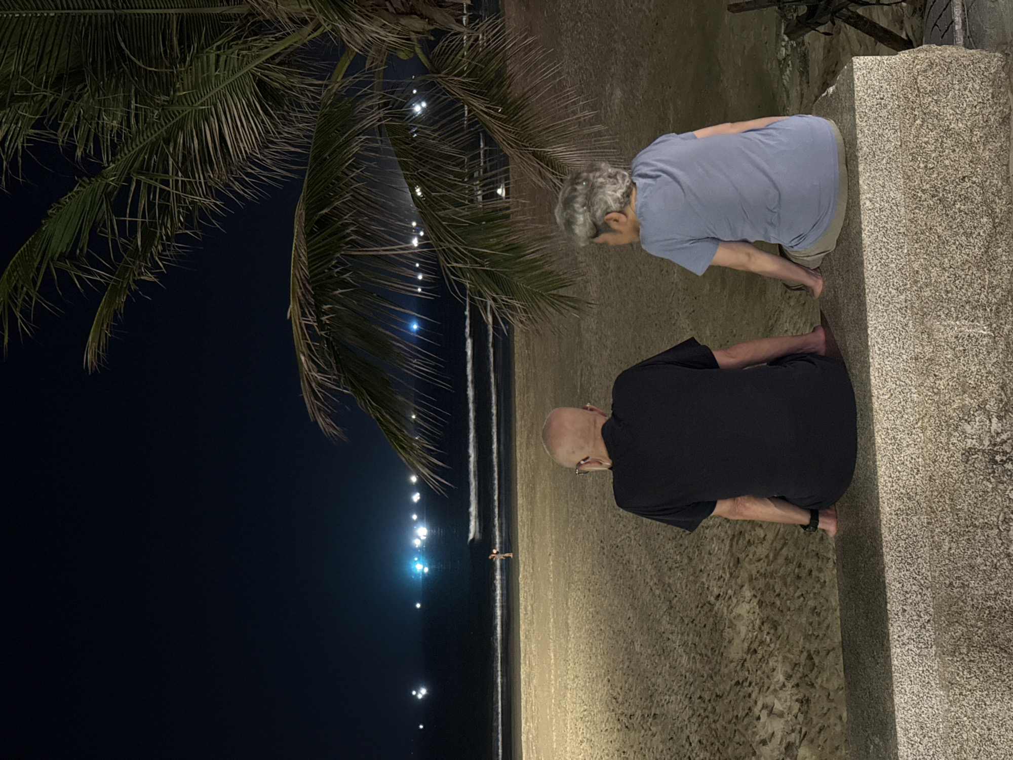 This nighttime image depicts a coastal scene, likely in Đà Nẵng, Vietnam, with two individuals observing the sea. In the foreground, two adult males are squatting or kneeling on a textured, light-colored concrete or stone ledge. The man closer to the viewer, on the right, wears a black t-shirt and dark pants, has a bald head, and appears to wear glasses. The second man, positioned slightly behind and to the left, wears a light blue t-shirt and light-colored shorts, and has grey hair. Both are looking out towards the ocean.
The sandy beach stretches into the midground, illuminated by an unseen light source, creating a warm, soft glow. Gentle waves are visible as faint white lines of foam on the dark water. In the distance, numerous bright, scattered lights appear over the horizon, possibly from boats, distant structures, or a city, with a noticeable bright blue light source above them. The sky above is a deep, dark black, indicating it is late night. A large palm tree with prominent fronds frames the left side of the image, silhouetted against the dark sky, with some distant lights peeking through its foliage. The scene evokes a calm, observational atmosphere. There is no visible text in the image.
