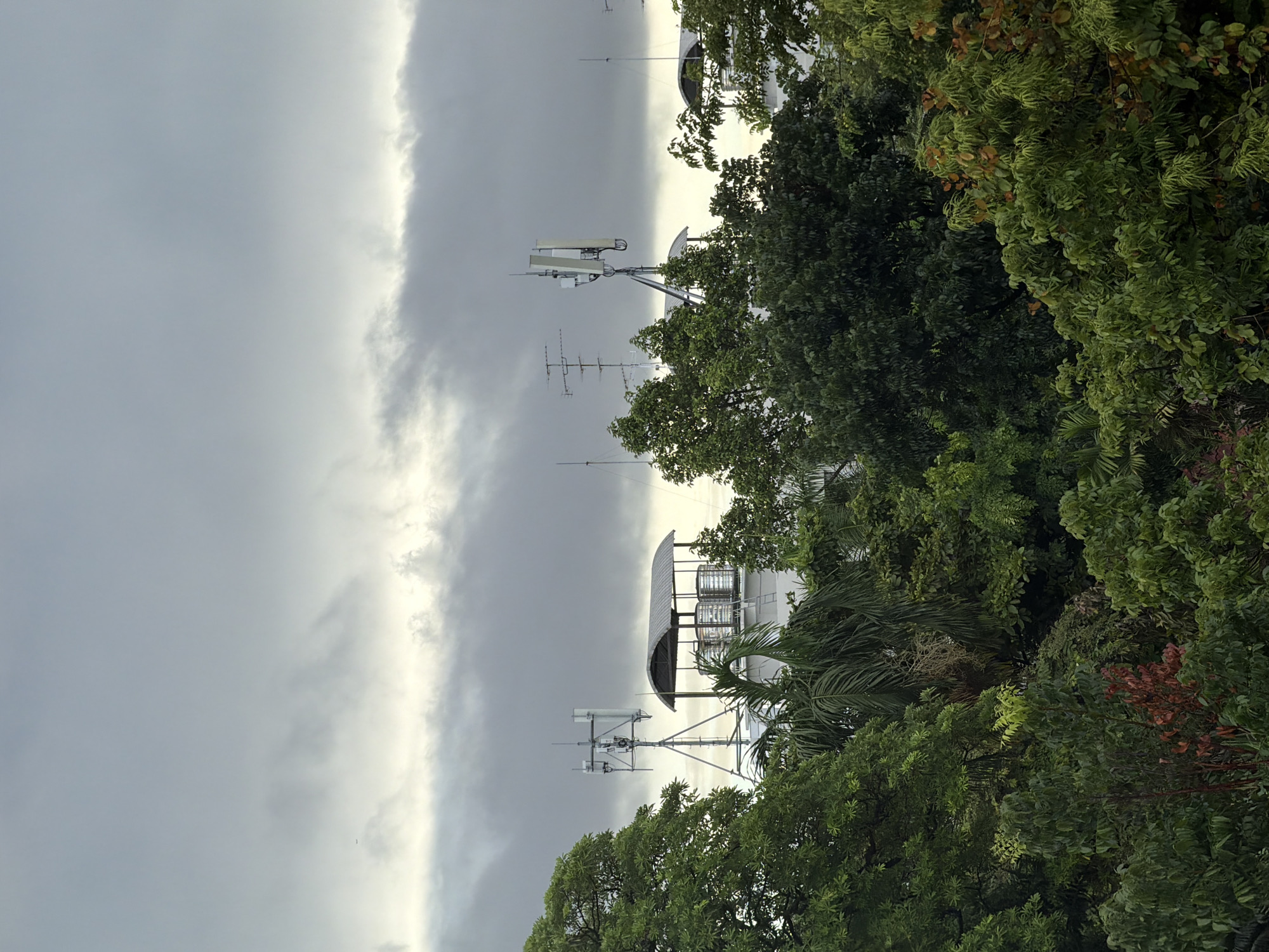 This vertical-format image depicts an urban landscape, identified as being in Bangkok, Thailand, dominated by dense tropical tree canopy and building rooftops under an overcast sky. The sky, occupying the upper third of the frame, is largely covered by heavy, dark grey clouds, with a distinct horizontal band of lighter, brighter grey clouds running across the mid-section. A small, dark, elongated object, consistent with an aircraft, is faintly visible in the upper-left portion of the lighter sky band.
Above the expansive green foliage, multiple building rooftops are visible. On the left, a tall metallic lattice tower supports several white, panel-shaped telecommunication antennas. Adjacent to this, another rooftop features a dark, arched canopy covering at least three large, cylindrical, stainless steel water tanks, with a small ladder visible on the side of the structure. Further to the right, another similar telecommunication antenna mast with multiple antennae is visible on a different rooftop, partially obscured by trees. Additional slender antennae or lightning rods are scattered across the visible rooftops.
The lower two-thirds of the image are filled with a dense, multi-layered canopy of various tropical trees. The foliage exhibits a wide range of green hues, from deep forest green to lighter lime green, with occasional clusters of leaves displaying reddish-brown tones. Palm fronds are identifiable among the mixed deciduous and evergreen vegetation. No human figures or discernible human activity are present in the scene.