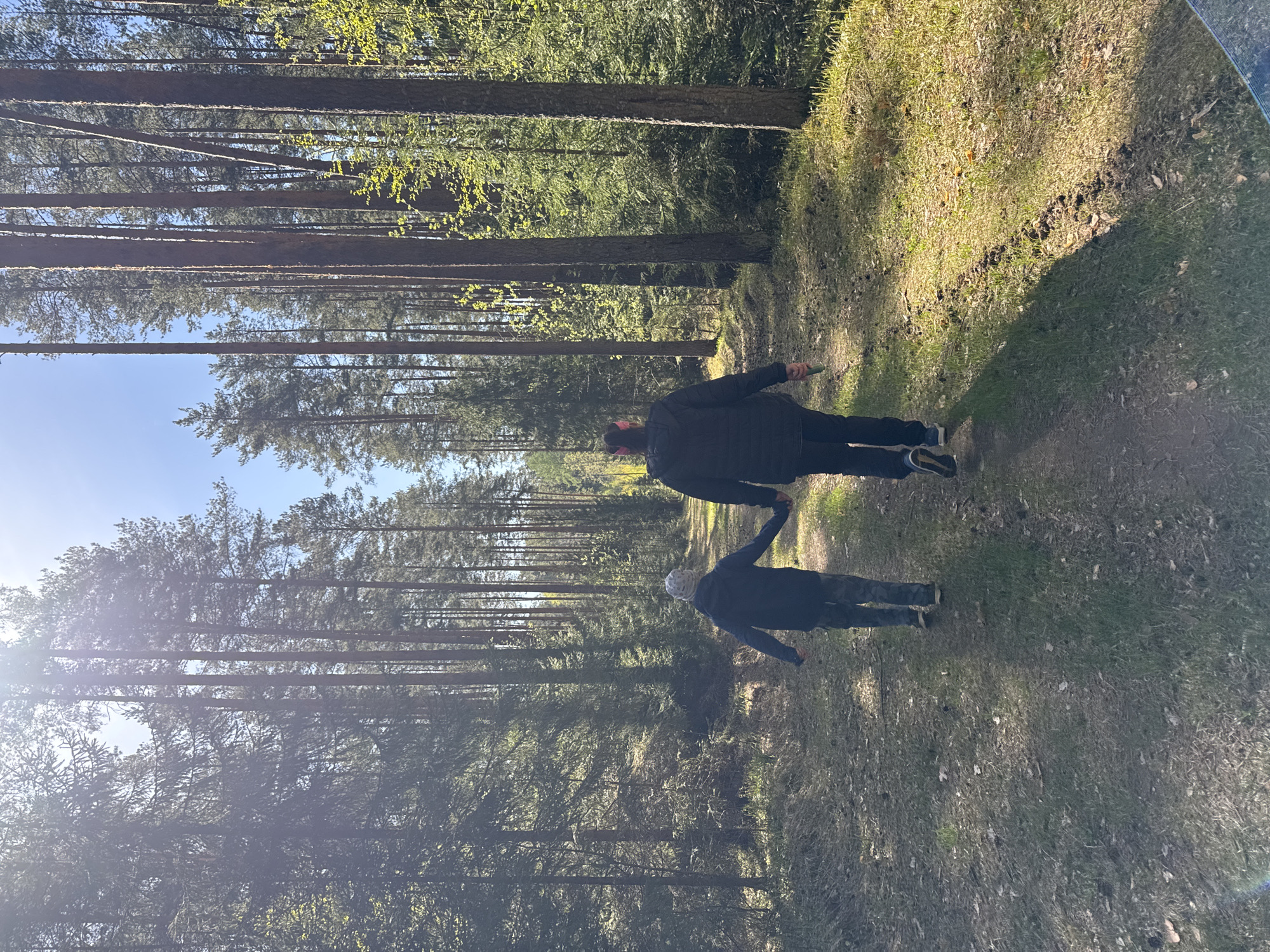 Two individuals are holding hands while walking on a path through a forest. Tall trees line both sides of the path. The location is in Chaikovsky, Russia. The sky is visible between the trees. The ground is covered with grass and forest debris. The path is dirt.