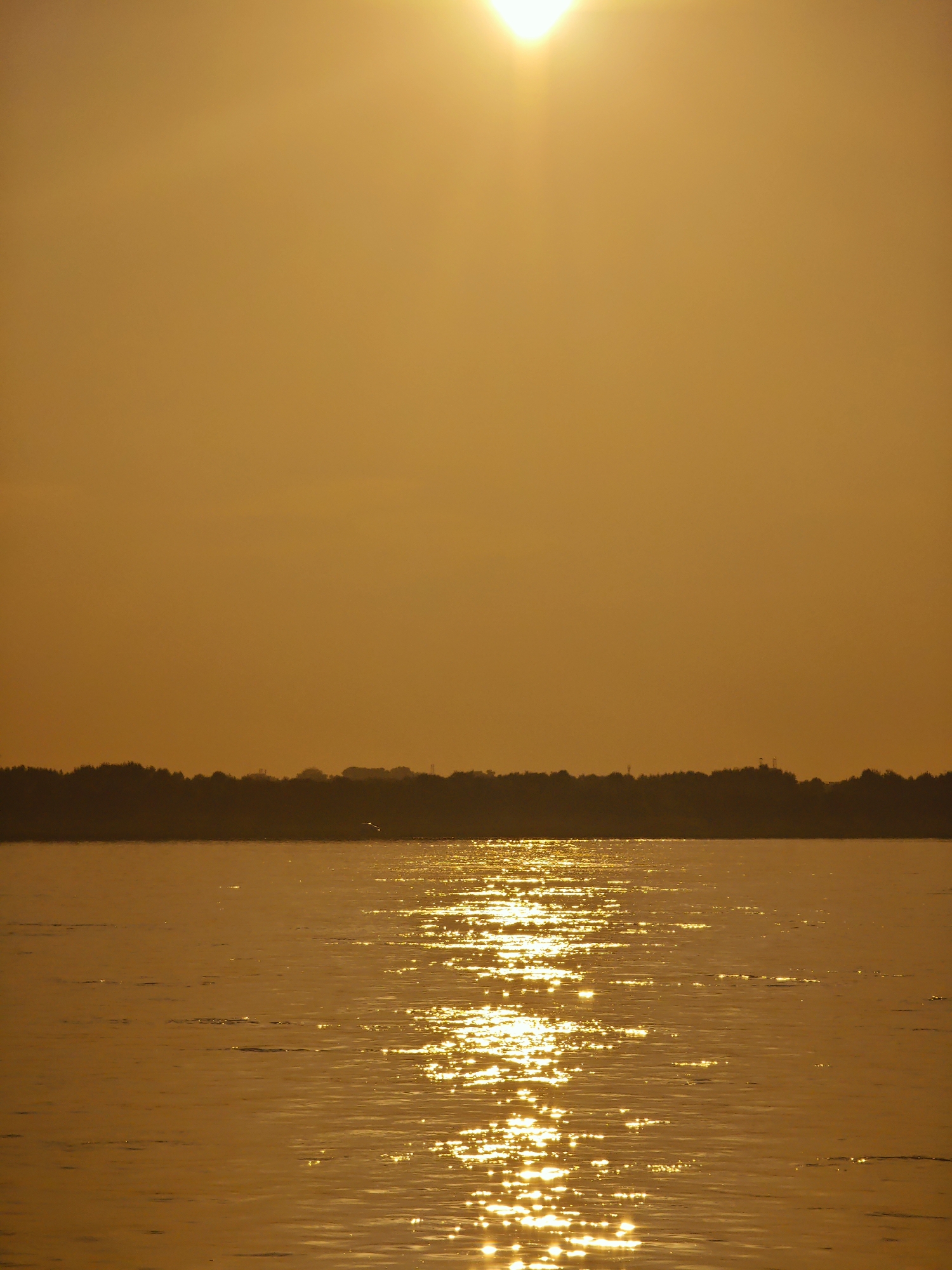 The image shows a wide body of water, possibly a river or lake, reflecting the warm, golden light of a setting sun. The sky is a gradient of orange and yellow, with the sun itself a bright, diffused orb near the top center of the frame, casting sunbeams downwards. In the distance, a dark, silhouetted treeline stretches across the horizon, with a few faint structures or lights visible within it. The water is rippled, creating a shimmering effect as the sunlight reflects off its surface. A lone bird appears to be flying low over the water near the treeline. The overall impression is one of a peaceful, natural landscape at dusk. The prompt requests information about Lesosibirsk, Russia, but this information is not present in the image itself and cannot be inferred from the visual content.