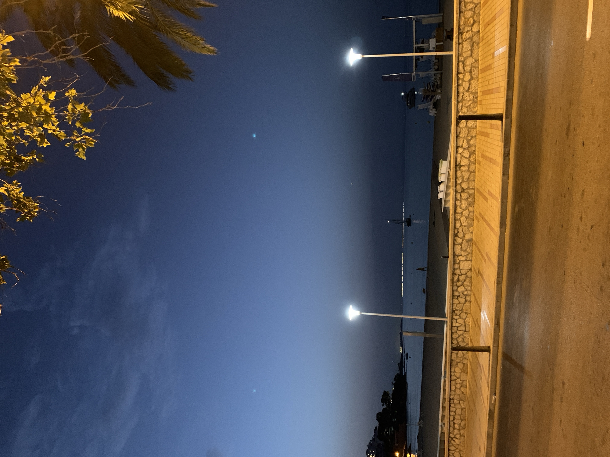 The image depicts a nighttime view of a promenade and beach area in Palmanova, Spain. The sky is a deep blue, transitioning to a lighter hue near the horizon. Faint clouds are visible. In the foreground, a paved road with orange streetlights is present. Adjacent to the road is a promenade, paved with yellow tiles and bordered by a low stone wall. A metal railing runs along the top of the wall. Beyond the promenade lies a sandy beach with scattered lounge chairs and umbrellas. The sea is calm, with a few boats visible in the distance. The coastline features buildings illuminated by lights. A palm tree frond hangs into the frame from the top right corner. One street lamp is lit on the promenade, illuminating the area. A solitary figure walks on the beach.