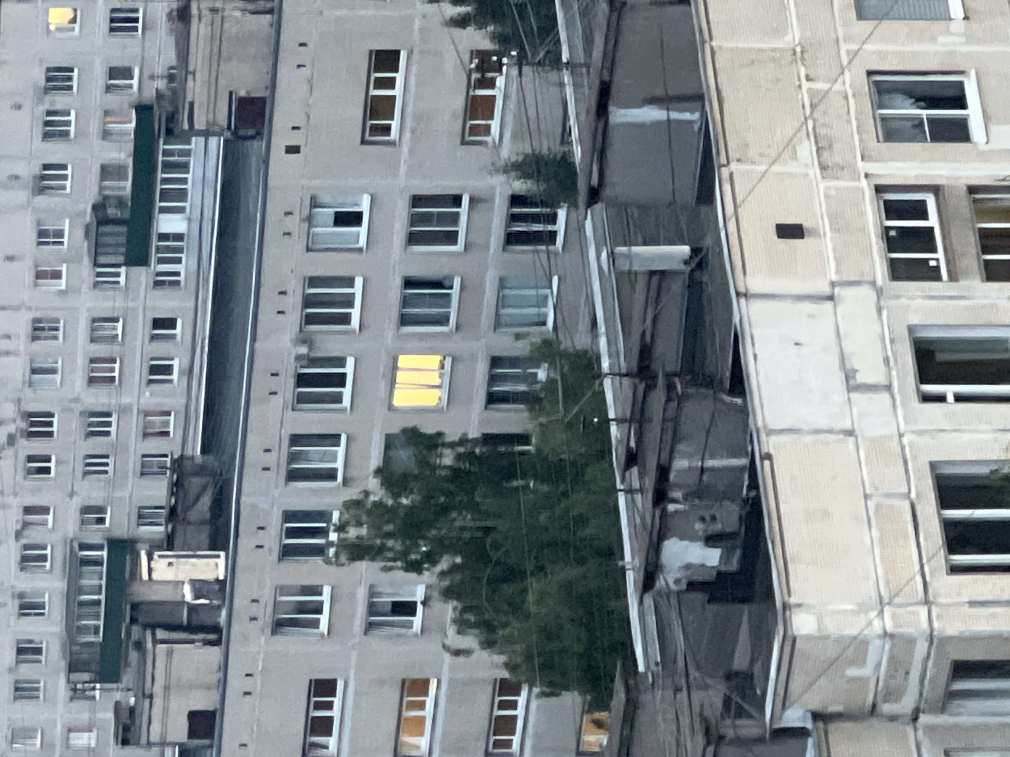 The image shows a view of apartment buildings in an urban environment. The buildings are made of concrete and appear to be of Soviet-era architecture, with many windows and balconies. There are several trees visible, some of which are tall and leafy. The sky is overcast, and the light suggests it may be dusk or dawn. There are no people visible in the image. The scene appears to be a residential area in a city.