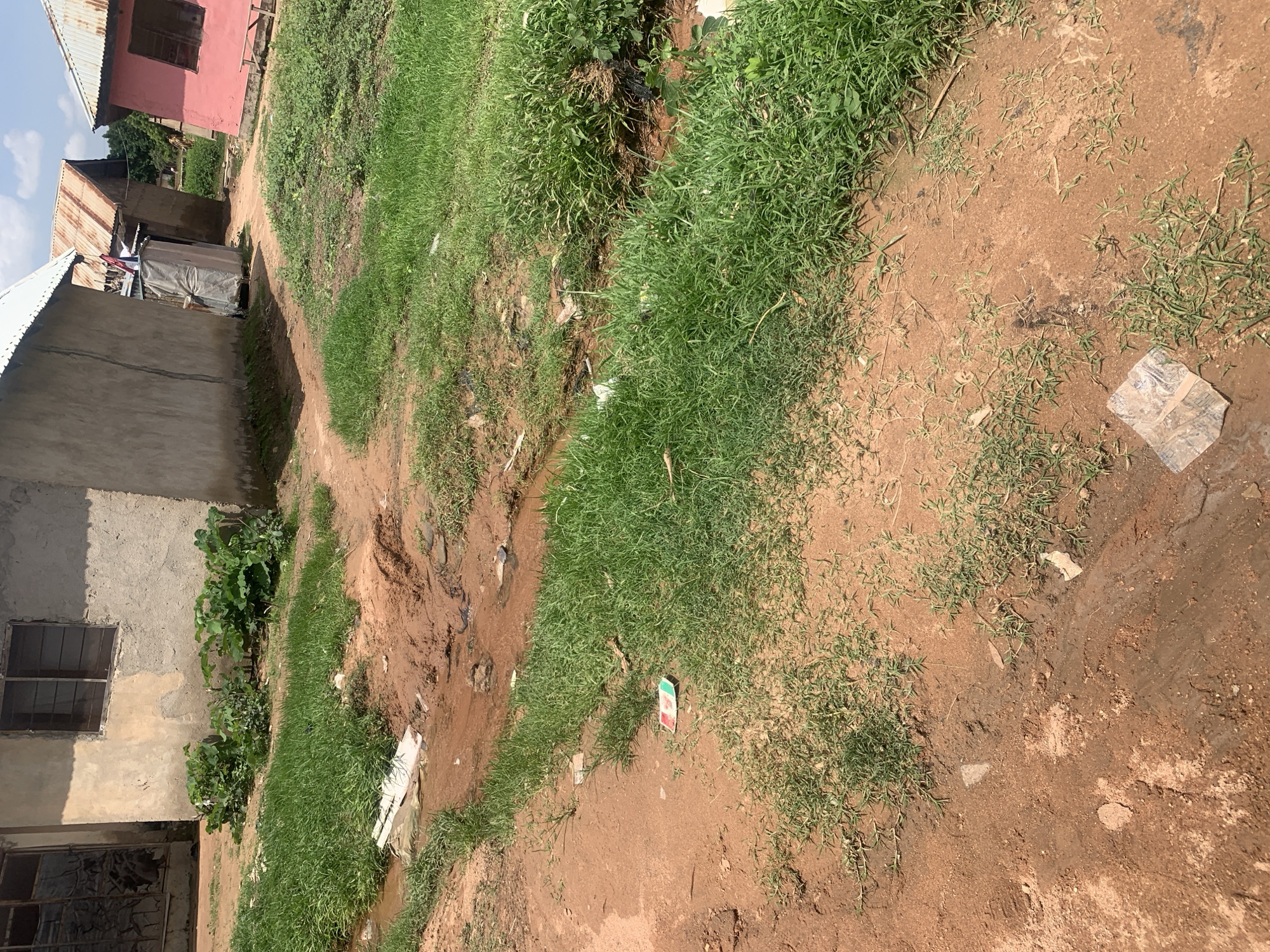 The image shows a view of a dirt path in Jalingo, Nigeria, with a small stream running alongside it. The stream appears to be filled with muddy water and some debris. The path is lined with overgrown grass and vegetation. In the background, there are several buildings, including a concrete structure with a window, a building with a corrugated metal roof, and a pink building with a wooden bench in front. The scene appears to be an outdoor environment in a residential area. There are no people visible in the image.