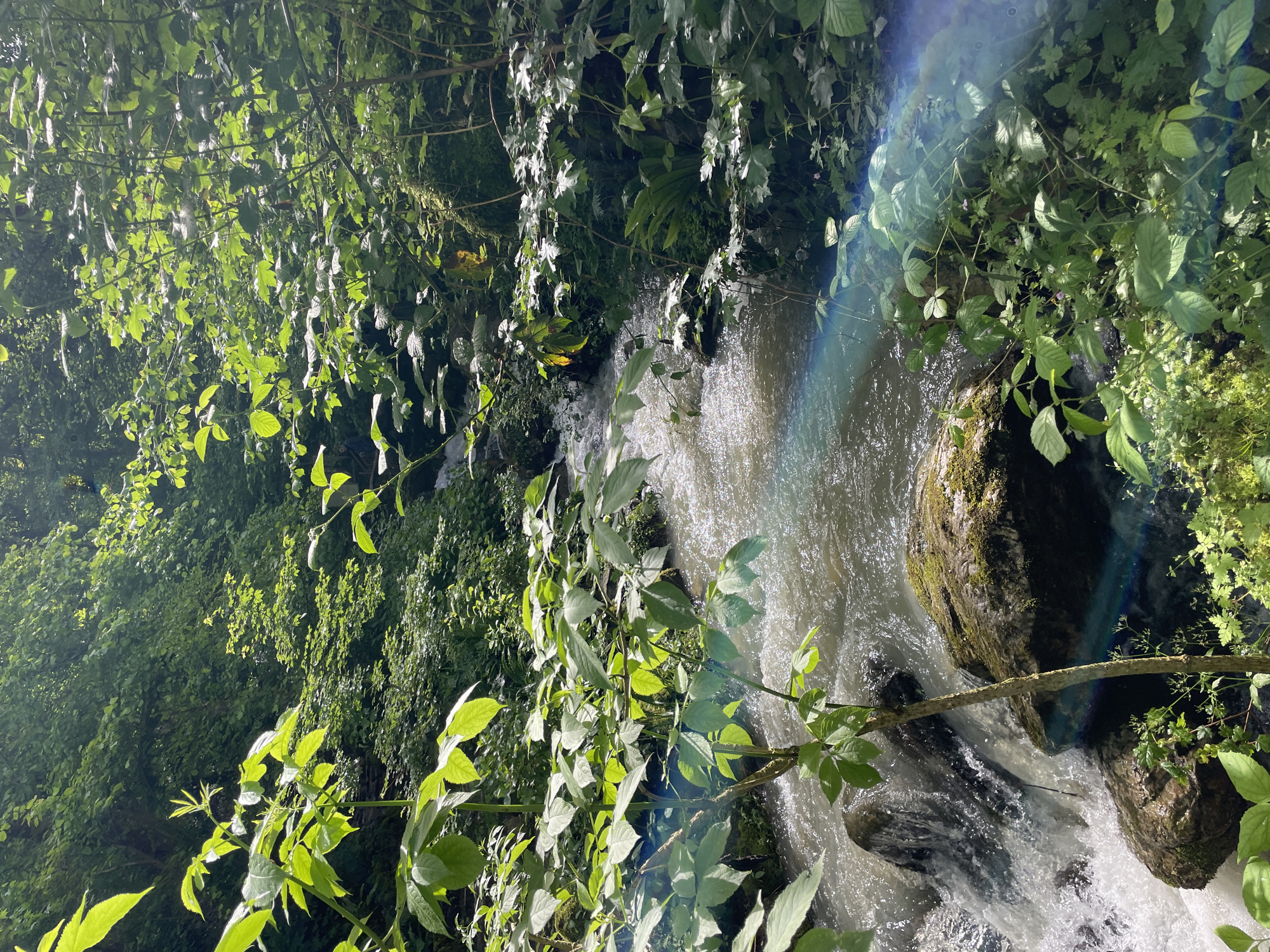 The image depicts a stream flowing through a lush, green area, likely a forested or park setting. The stream appears to have a small waterfall, with water cascading over rocks. Vegetation, including trees and shrubs, surrounds the stream, creating a dense, natural environment. Sunlight filters through the foliage, creating highlights and shadows in the scene. A rainbow effect is visible within the water. Given the prompt, this location is likely Solokh-Aul, Russia, based on the instruction, but no specific landmarks are identifiable in the picture to confirm this. No people or animals are visible.