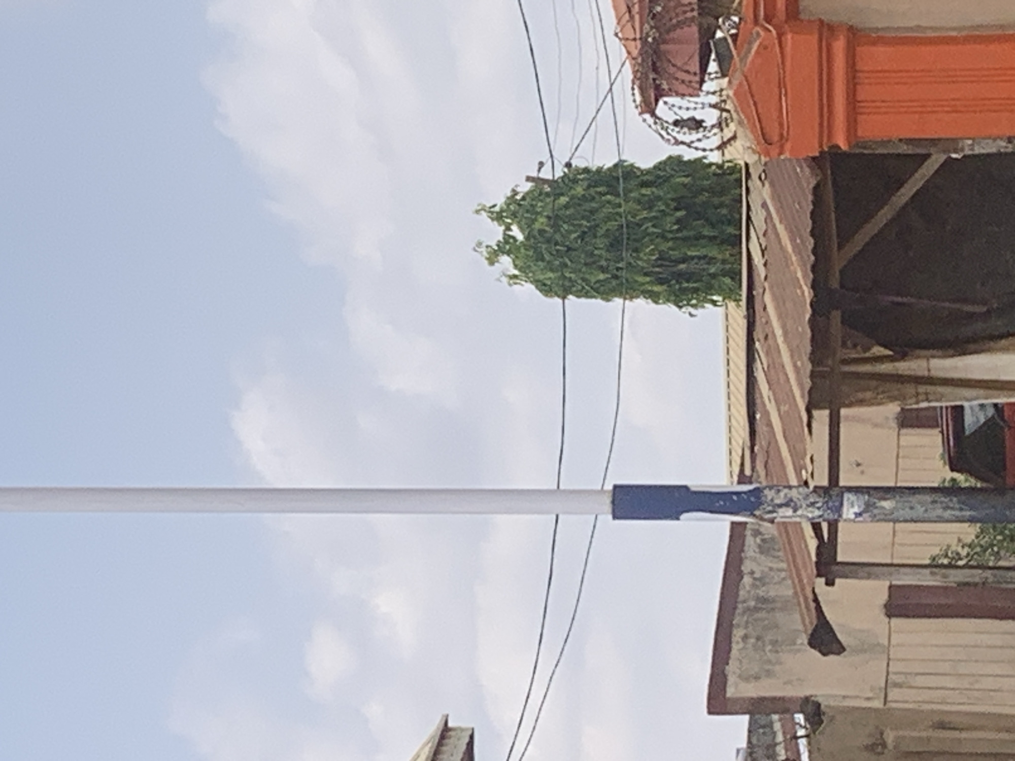 The image, taken in Sabon Tasha, Nigeria, shows a street scene under a slightly cloudy sky. A tall, narrow tree with dense green foliage stands next to a weathered building with an orange roof section. The building appears to have multiple levels or sections, with visible support beams and worn exterior walls. An aged, corroded metal spiral staircase is partially visible near the roof of the building. A utility pole with a white and blue top stretches across the frame, and several power lines run parallel to the pole and tree.