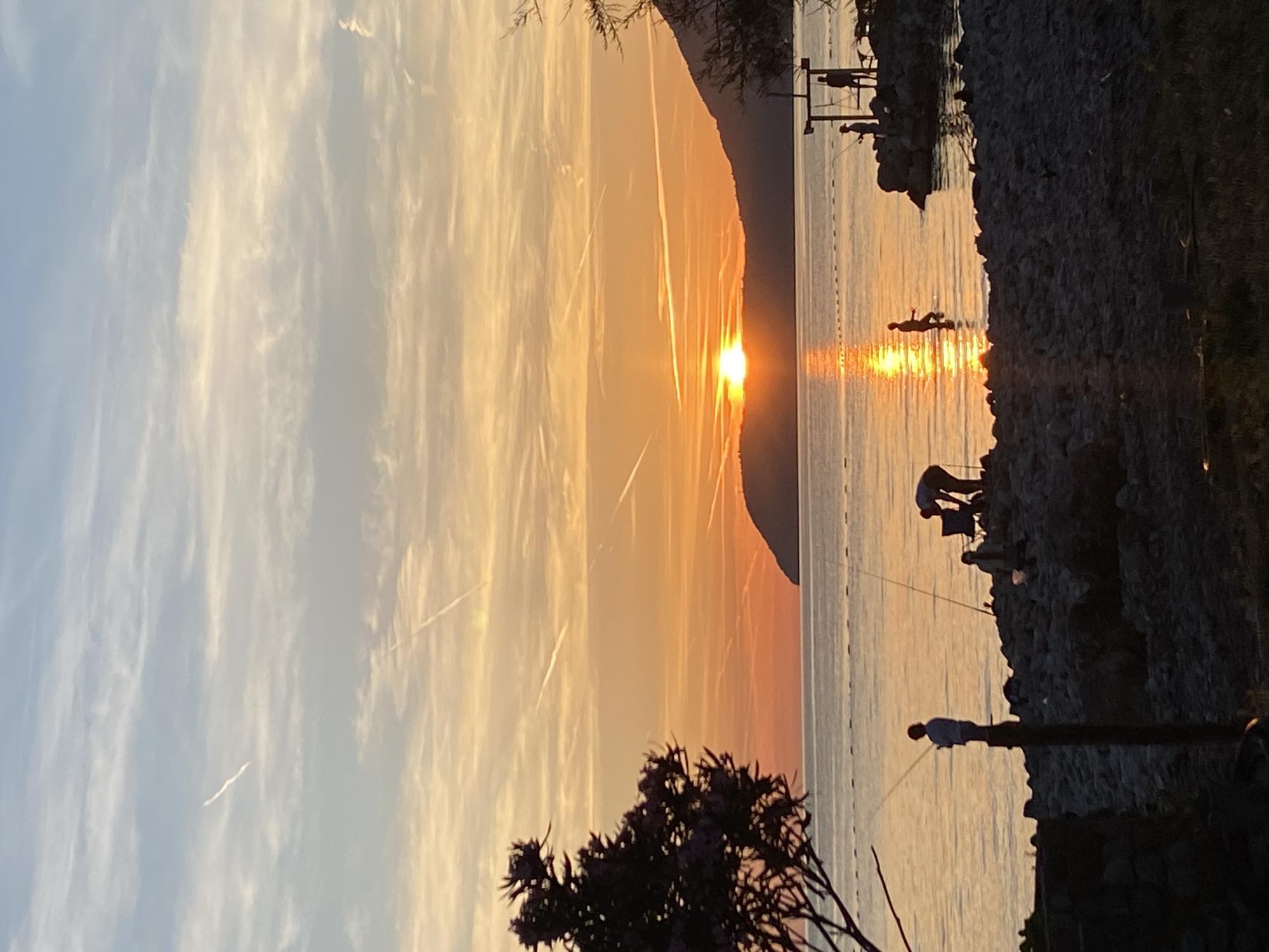 The image depicts a sunset over the Adriatic Sea in Bar, Montenegro. Silhouetted figures are visible on a rocky shoreline, some engaged in fishing. The sun, a bright orange orb, is low on the horizon, casting a shimmering reflection on the water. The sky is a gradient of orange, pink, and blue, with wispy clouds and airplane contrails crisscrossing the scene. A dark, leafy tree branch is visible in the foreground on the left. The water is calm, with a gentle ripple. The shoreline is composed of dark rocks and some vegetation. The overall impression is one of tranquility and natural beauty.