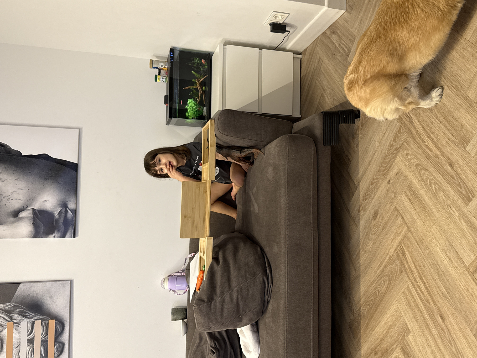 A young girl with brown hair and bangs is perched on a brown sofa in a room. She is wearing a dark grey shirt. Next to her on the sofa is a small wooden tray table. An aquarium is situated on a white cabinet to the side of the sofa. Artwork hangs on the wall behind the sofa. A portion of a golden-colored dog is visible on the right side of the image. The floor is wooden with a herringbone pattern. The location is likely a residential space in Krasnoyarsk, Russia.