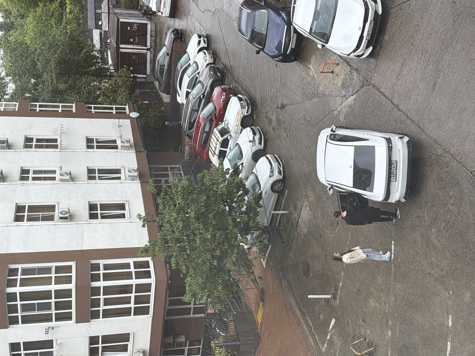 The image depicts a street scene in Sochi, Russia, adjacent to a multi-story building with white and brown exterior. A line of parked cars, including white, red, and blue vehicles, stretches along the side of the building. Two individuals are visible near a white car: one person stands near the open car door, and another lies on the pavement. Trees and vegetation are interspersed between the cars and the building. The street surface appears damp, indicating recent precipitation. A sign is visible atop a structure further down the street.