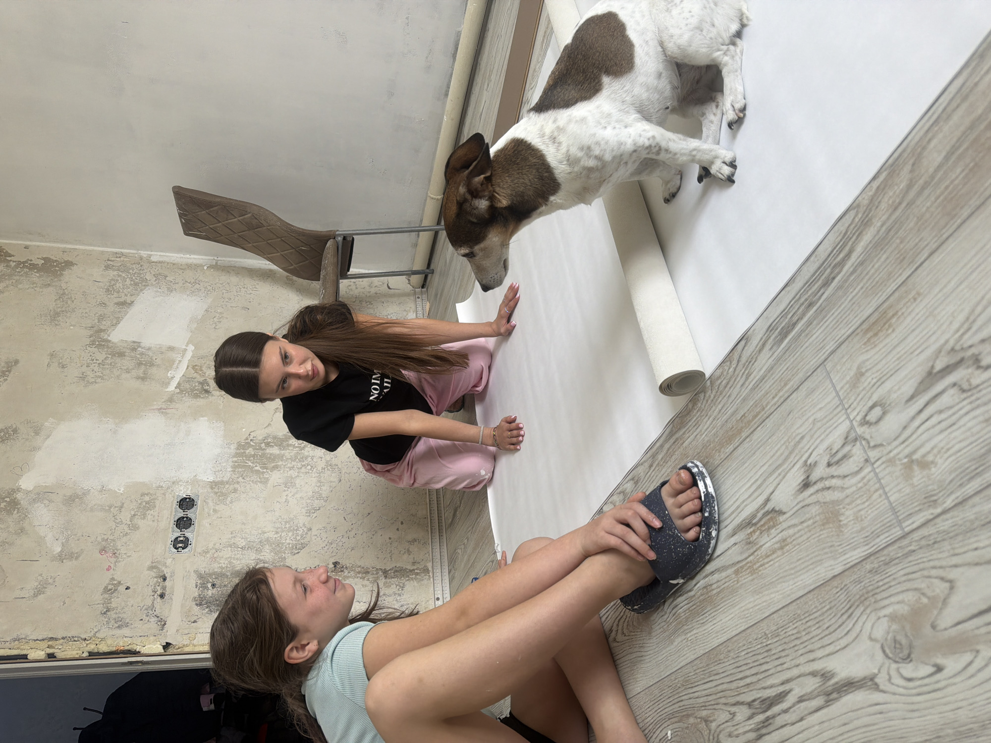 The image shows two Caucasian females and a medium-sized dog inside a room that appears to be under renovation. The floor has light-colored wood-like planks. A roll of white paper is laid out on the floor.
The first female is kneeling on the paper, facing towards the top of the image. She has long brown hair and is wearing a black t-shirt and pink pants. She has her hands outstretched.
The dog, which is white with brown markings, is standing on the paper, its head near the hands of the kneeling female.
The second female is lying on the floor with her legs bent, facing the first female. She has brown hair and is wearing a light blue top and is wearing a gray slipper on her foot.
Behind the first female, there's a brown chair leaning against a wall. The walls have patches of exposed plaster, and there's an electrical outlet with three sockets.
There is no indication in the image that this is in Markovo, Russia.