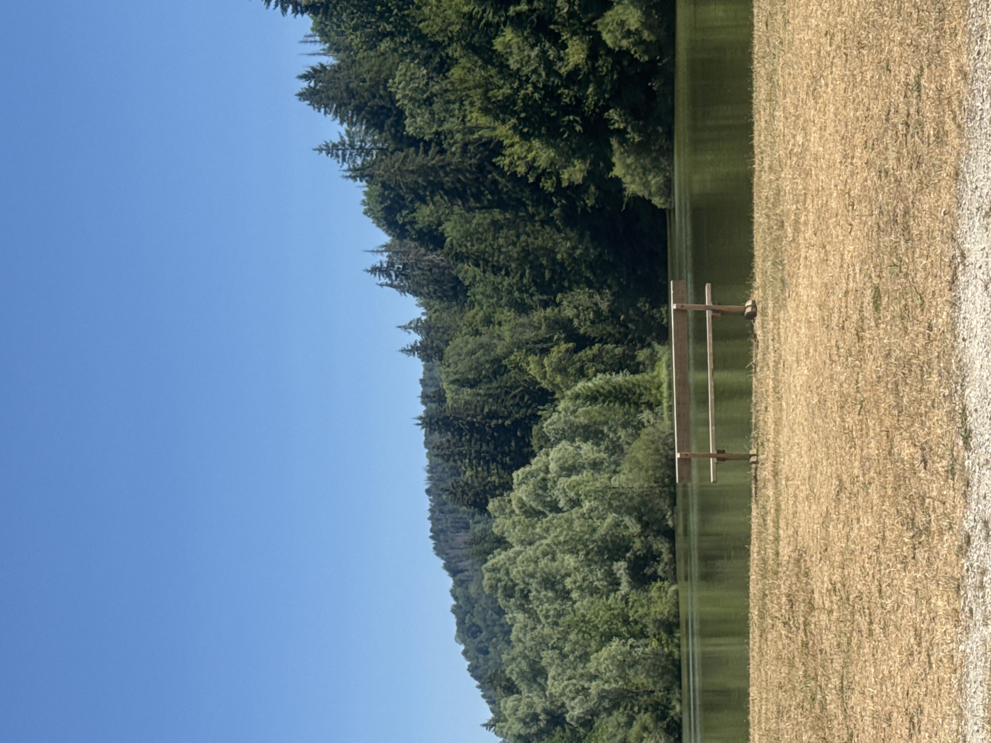 The image captures a tranquil natural scene at a lake in Coteaux du Lizon, France. In the foreground, a wooden bench sits on dry, golden grass. Beyond the bench, a calm body of water reflects the lush green trees that blanket a sloping hillside. The sky above is a clear, vibrant blue. The environment appears to be untouched and serene, suggesting a peaceful outdoor setting. There are no people or animals visible in the image.