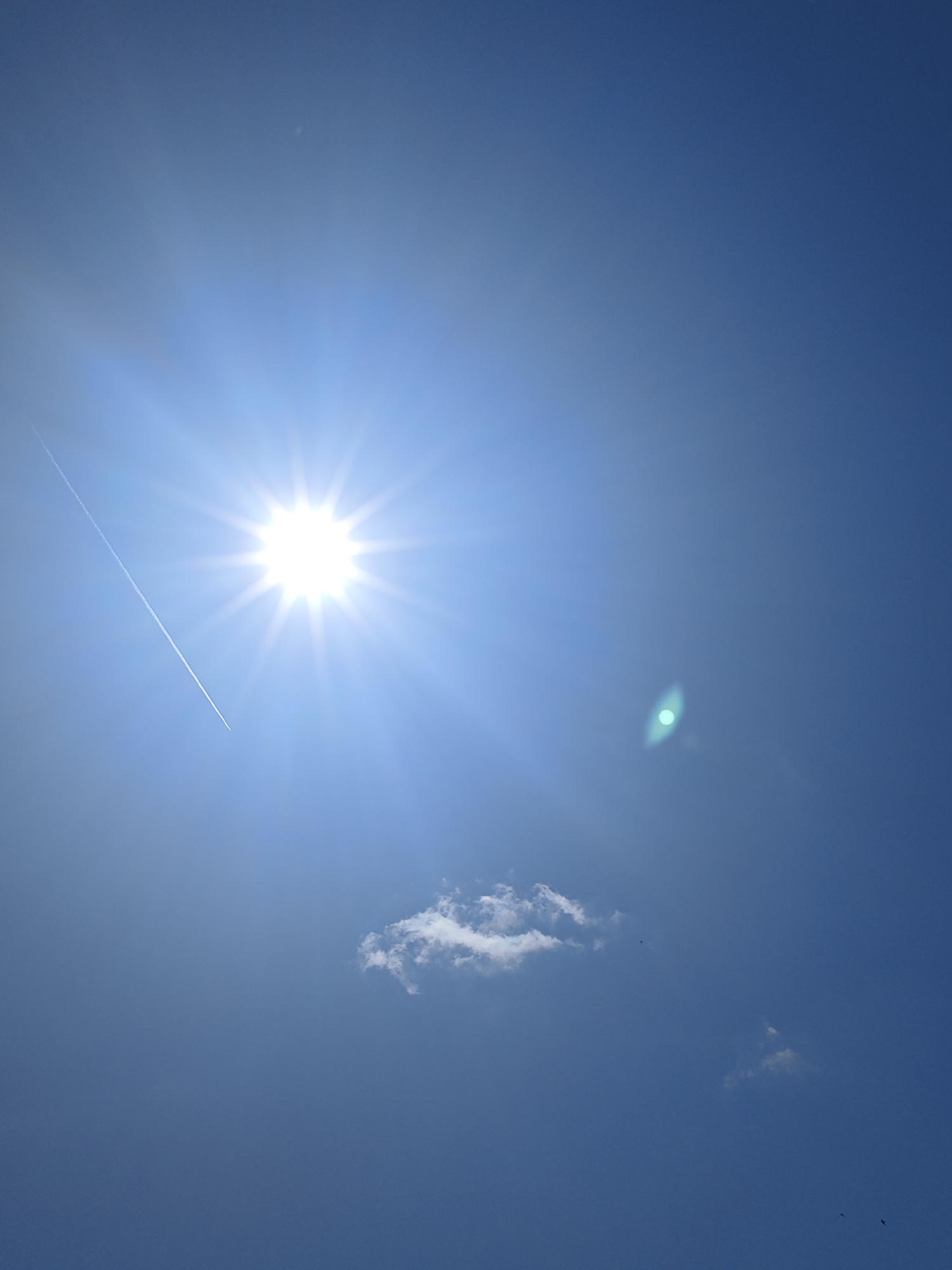 The image shows a bright sun with visible rays against a clear blue sky. A contrail from an airplane extends diagonally from the lower left towards the sun. There are a few small clouds scattered in the sky. A lens flare is also visible as a greenish-blue oval shape in the middle right of the image. Two small dark specks, possibly birds, are visible in the lower right quadrant of the image. The scene depicts an outdoor, daytime environment with no visible city features or people.