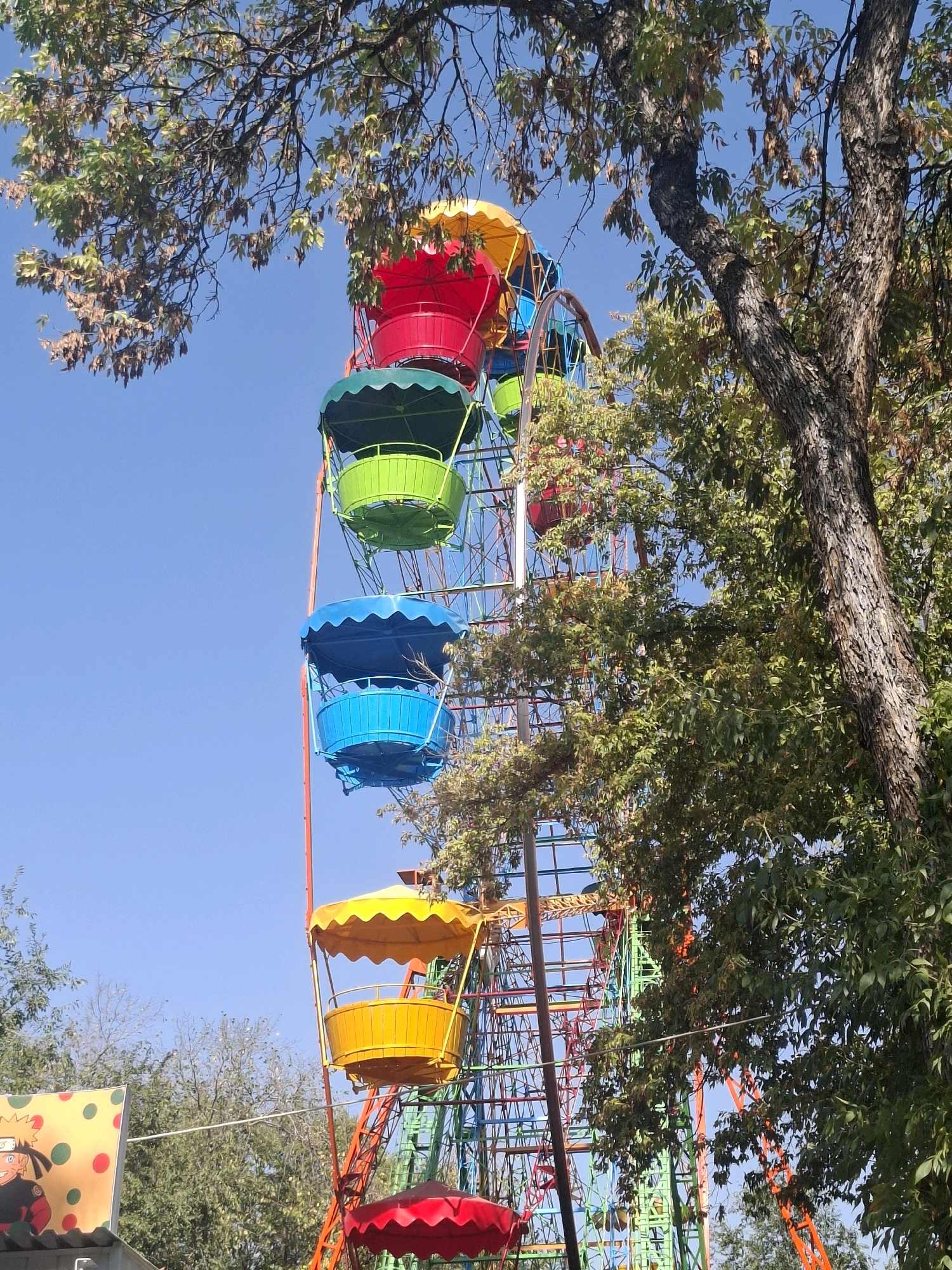 The image depicts a Ferris wheel located in an outdoor amusement area, possibly an amusement park or a recreational zone, within the city of Almaty, Kazakhstan. The Ferris wheel is brightly colored, with red, yellow, green, and blue gondolas, each featuring a scalloped canopy. The structure of the Ferris wheel is a lattice of metal beams painted in various colors, including orange and green. The sky is clear and blue. A large tree with green leaves and visible bark partially obscures the right side of the Ferris wheel. In the lower left corner, a portion of a sign is visible, featuring cartoon imagery with a character resembling Naruto Uzumaki against a background of colorful polka dots. The overall impression is of a sunny day at an amusement park.