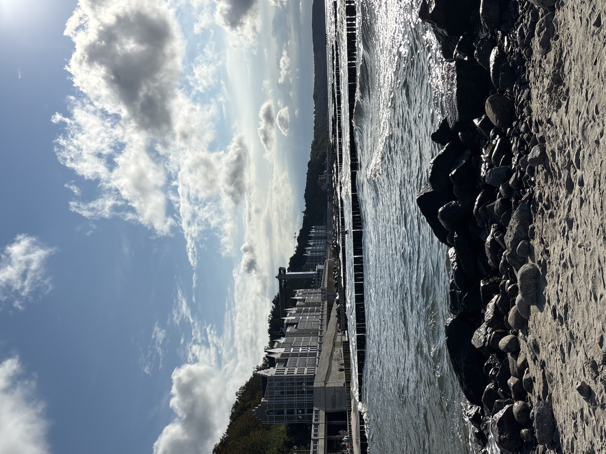 This is a photograph of the Baltic Sea coast in Svetlogorsk, Russia. In the foreground, there is a sandy beach with numerous rocks of varying sizes. The sea is choppy with moderate waves breaking against a series of wooden breakwaters. In the mid-ground, a promenade runs along the coastline, with a long row of modern, multi-story buildings featuring a distinctive architectural style visible behind it. A forested hill rises behind the buildings. The sky is partly cloudy with bright sunlight illuminating the scene. A crane is visible in the distance to the right of the buildings. There are a few people walking on the promenade in the distance.