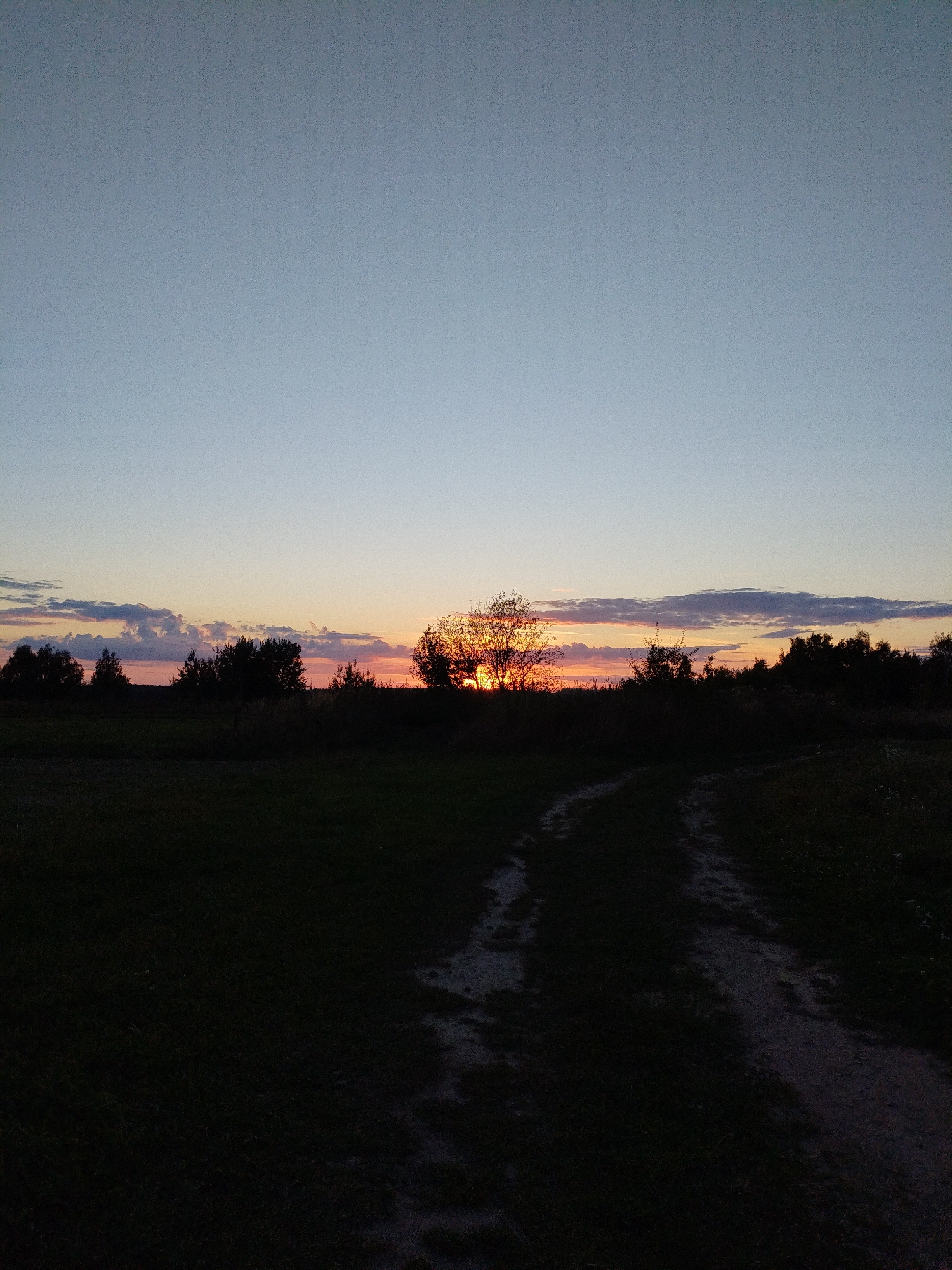 This is a landscape photograph taken at dusk in Bialynichy, Belarus. The scene depicts a rural setting with a dirt path leading through a dark, grassy field towards a line of silhouetted trees. The sun is setting, casting a warm orange and pink glow on the horizon, partially obscured by the trees. Clouds are visible in the sky, tinged with the colors of sunset. The overall atmosphere is peaceful and serene, with the fading light creating long shadows and a sense of tranquility. There are no people or animals visible in the image.