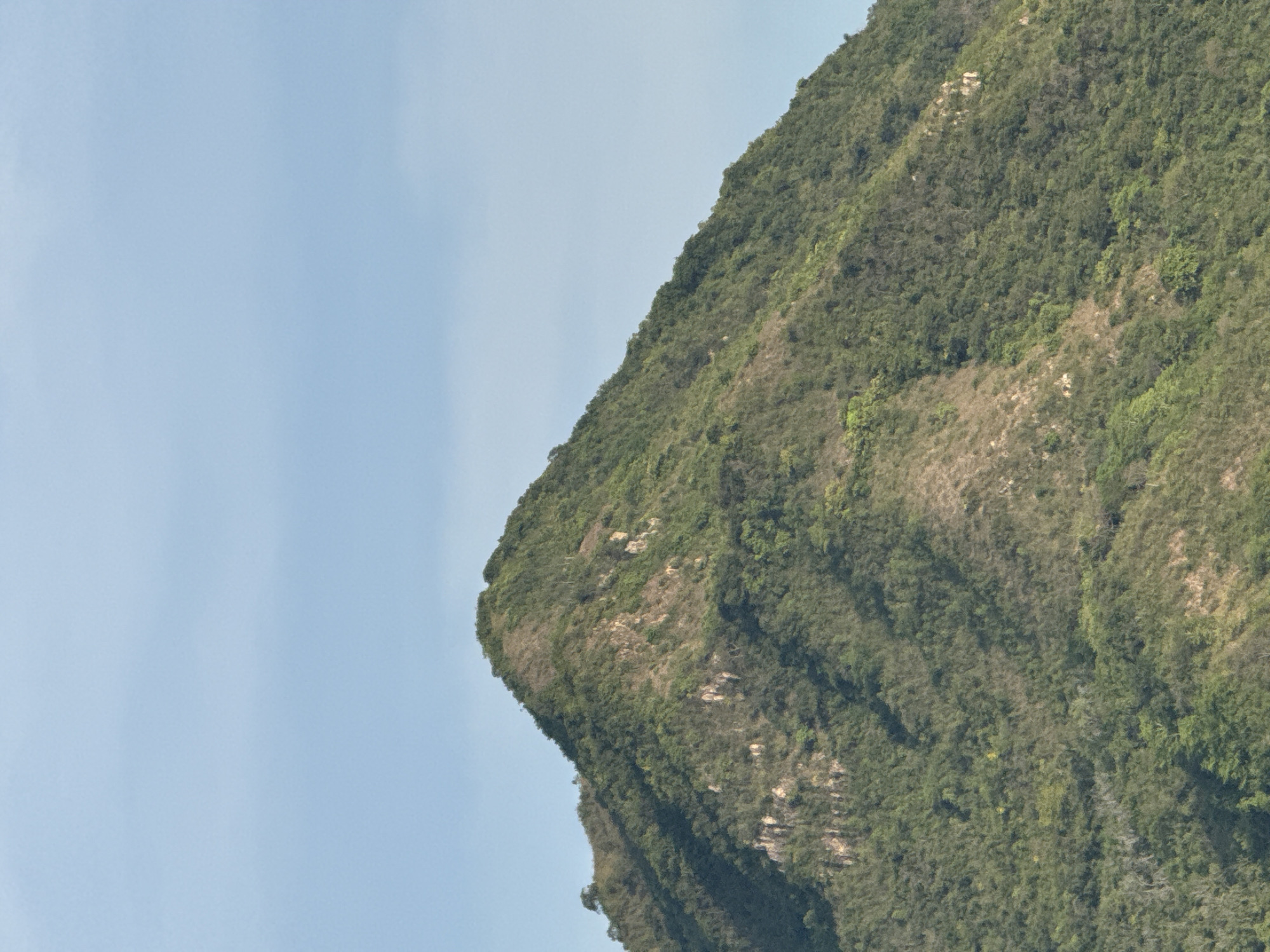 The image shows a lush, green mountain peak under a clear blue sky. The mountain is covered in dense vegetation, with patches of rocky outcrops visible. The terrain appears rugged and natural. There are no people or man-made structures in the immediate vicinity of the mountain. The lighting suggests it is daytime, with the sun casting subtle shadows on the mountainside. The overall scene is one of natural beauty and serenity.