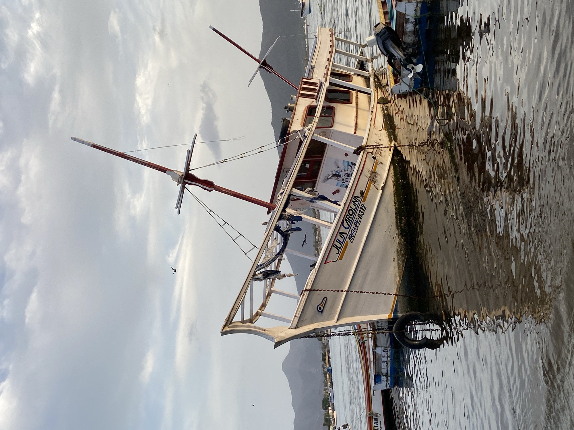 The image shows a listing white and red fishing boat named "JULIA CAROLINA" with registration "ARSH-PE-0312" partially submerged in calm water. The boat is docked alongside other smaller vessels and appears to be in a state of disrepair. The background features a hazy mountainous coastline and a cloudy sky with a few birds in flight. The scene is set in the port of Juan Griego, Venezuela, a location known for its fishing activities.