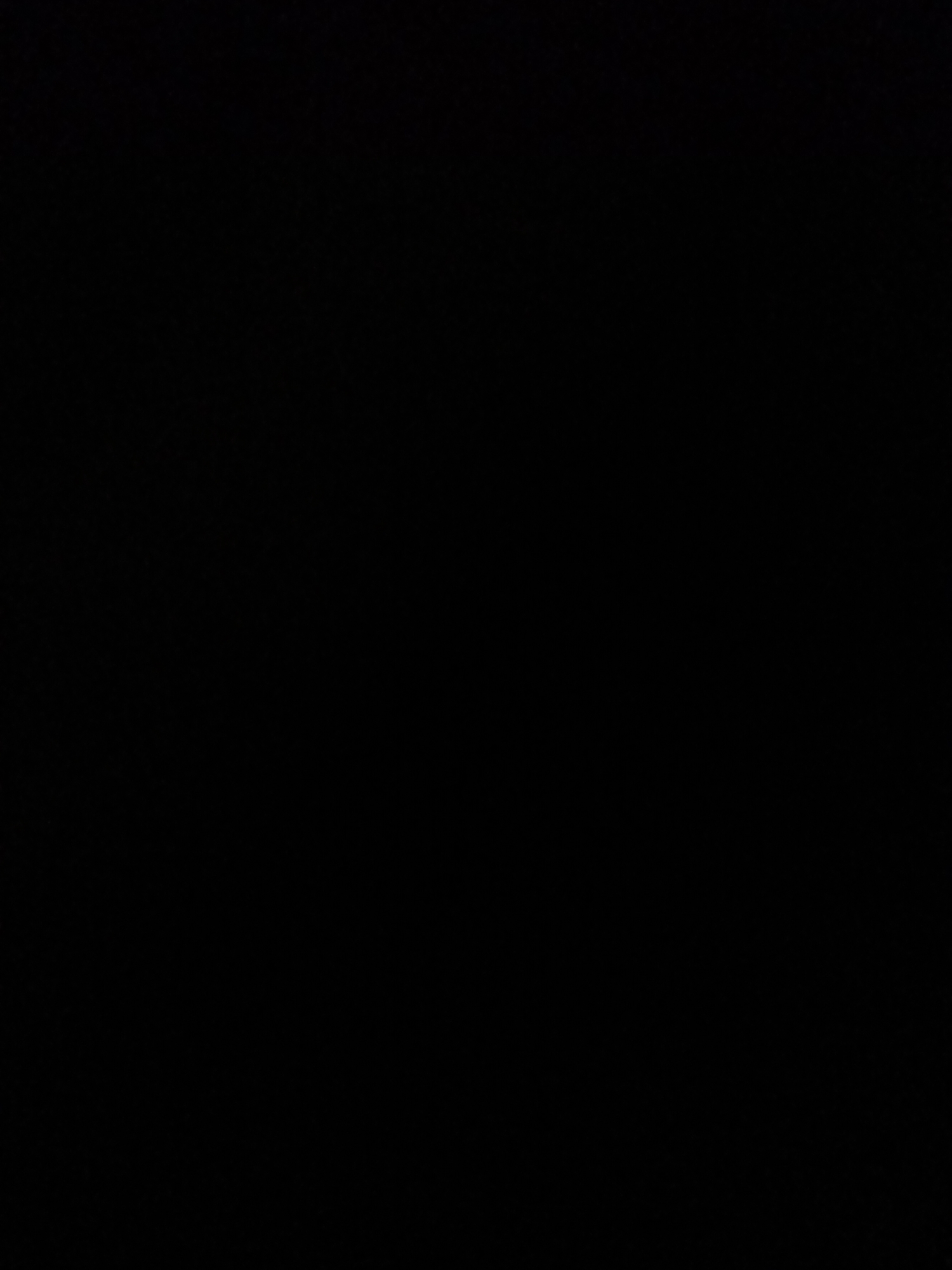 This media file is entirely black, suggesting it is a blank or corrupted image. Without any visible content, it is impossible to describe subjects, activities, notable details, or text. The provided location context of Rostov-on-Don, Russia, is not reflected in the image itself.