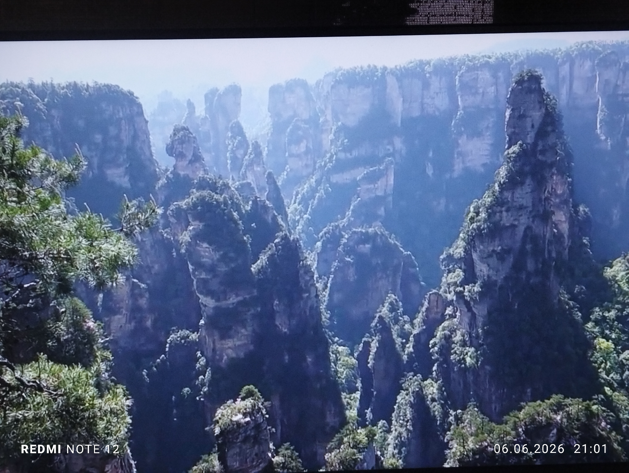 The image displays a dramatic natural landscape characterized by numerous towering sandstone pillars, or karsts, densely covered in green vegetation. These vertical rock formations rise from a forested valley, with a pervasive atmospheric haze softening the contours of more distant peaks. In the immediate foreground on the left, branches of coniferous trees with bright green needles are visible, suggesting the viewpoint is from a similarly vegetated elevation overlooking the scene. The overall lighting indicates daytime. No individuals are present. Digital text overlays are visible in the bottom left, reading "REDMI NOTE 12," and in the bottom right, displaying "06.06.2026 21:01." Faint horizontal lines and pixelation along the top edge suggest the image is a photograph of a digital screen. This landscape is characteristic of the Wulingyuan Scenic and Historic Interest Area, specifically the Zhangjiajie National Forest Park in Hunan Province, China. The scene does not depict any location within the city of Burgas, Bulgaria.