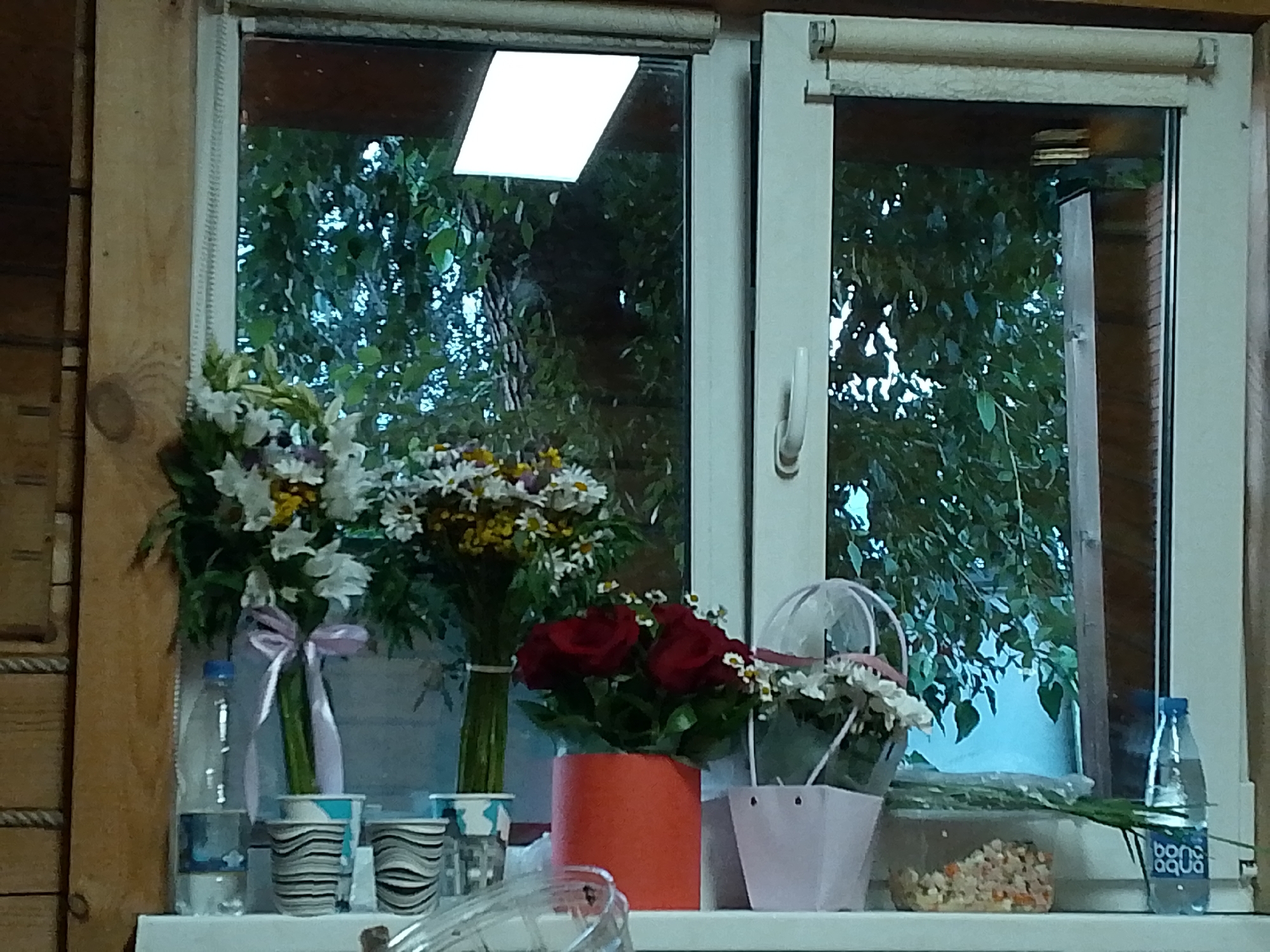 This is a medium shot, indoor photograph of a windowsill in what appears to be a rustic setting, possibly a cabin or wooden house. The windowsill is decorated with various objects, including flowers, bottles, and decorative cups.
On the left side of the windowsill, there is a bouquet of white and yellow flowers tied with a light purple ribbon. Next to it, a clear plastic bottle of water with a blue cap is visible. In front of the flowers, there are three decorative cups with black and white striped patterns.
In the center of the windowsill, a small arrangement of red roses sits in an orange cylindrical vase. To the right of the roses, a light pink square-shaped basket is placed. Further to the right, a clear plastic container holds a mix of diced vegetables, perhaps a salad or garnish. Another bottle of water, this one with a blue label that reads "bona aqua," stands to the far right.
Behind the objects on the windowsill, a large window is visible. The window is framed by white plastic. Through the window, lush green foliage is seen, suggesting an outdoor environment with trees. The lighting in the scene is somewhat dim, indicating it might be late afternoon or early evening. The overall atmosphere is calm and decorative.