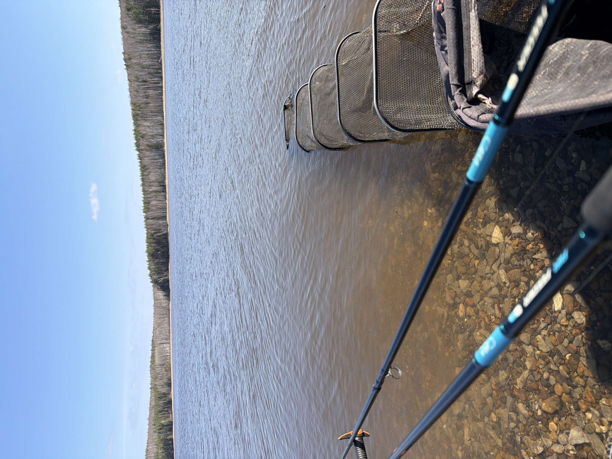 The image depicts a fishing scene. A fishing net is partially submerged in a body of water, likely a lake or river, with its metal frame visible above the surface. A fishing rod is partially visible in the foreground, suggesting someone is actively fishing. The shoreline consists of small rocks and pebbles. Across the water is a line of trees, and the sky is clear with a few clouds. While I can describe the scene, I am unable to confirm that the location is in the city of Chaikovsky, Russia, as this information is not discernable from the image.